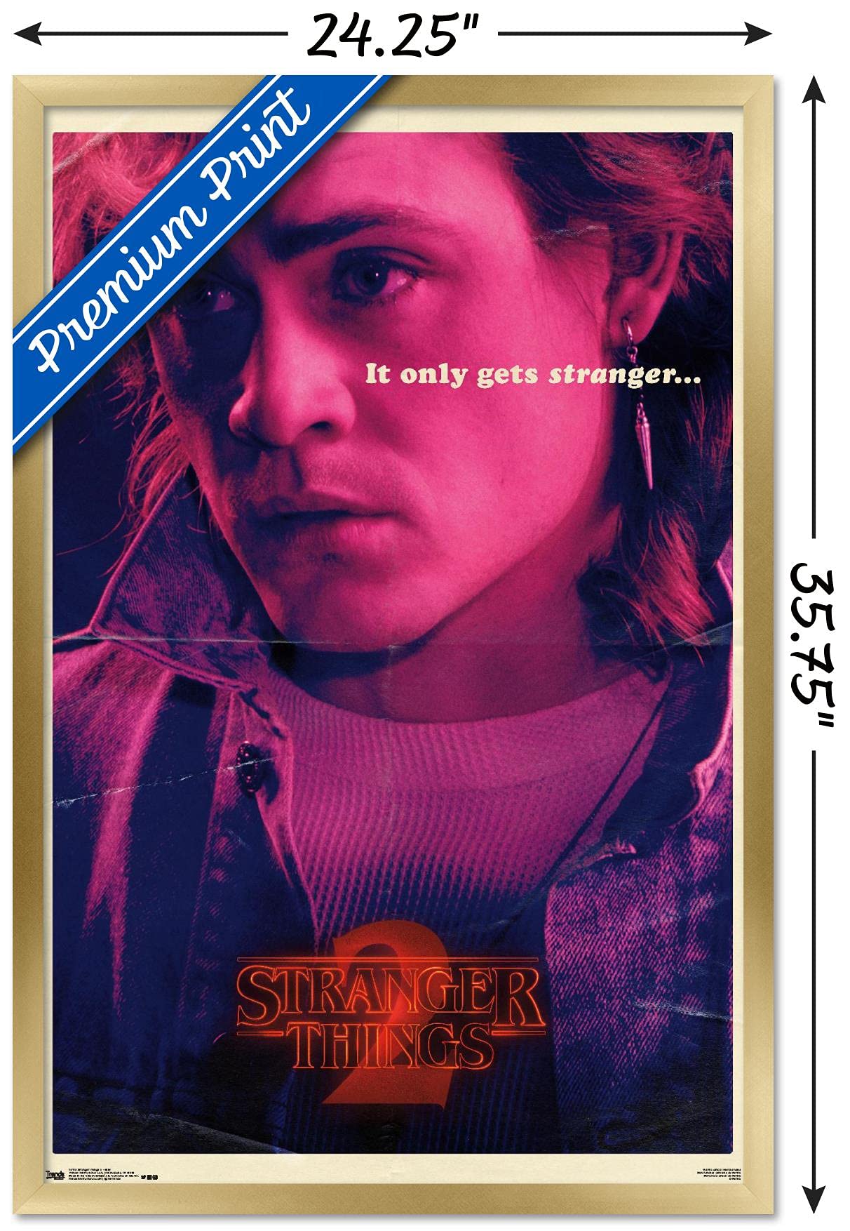 Trends International Netflix Stranger Things: Season 2 - Billy Wall Poster, 22.375'' X 34'', Gold Framed Version