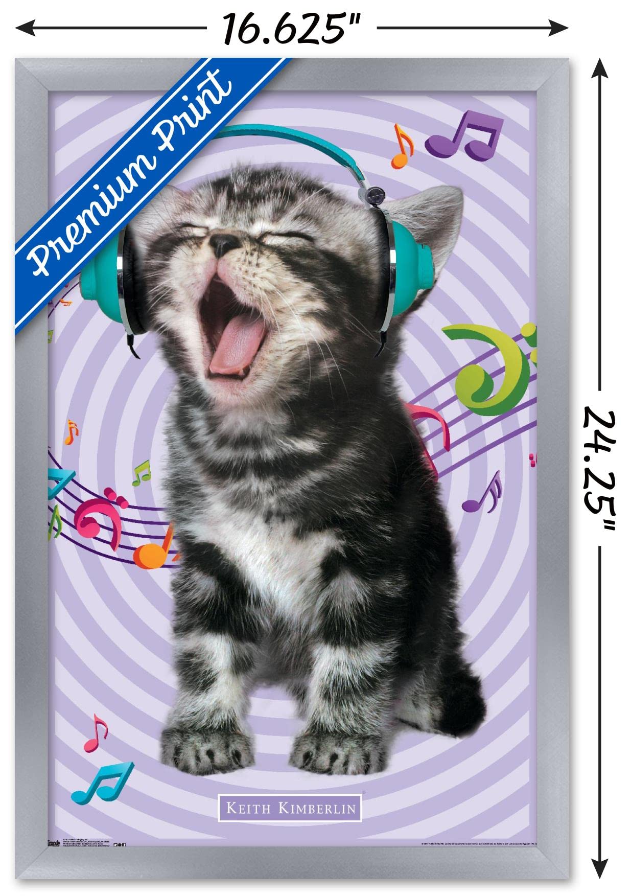 Trends International Keith Kimberlin - Kitten - Singing Wall Poster, 14.725'' X 22.375'', Silver Framed Version