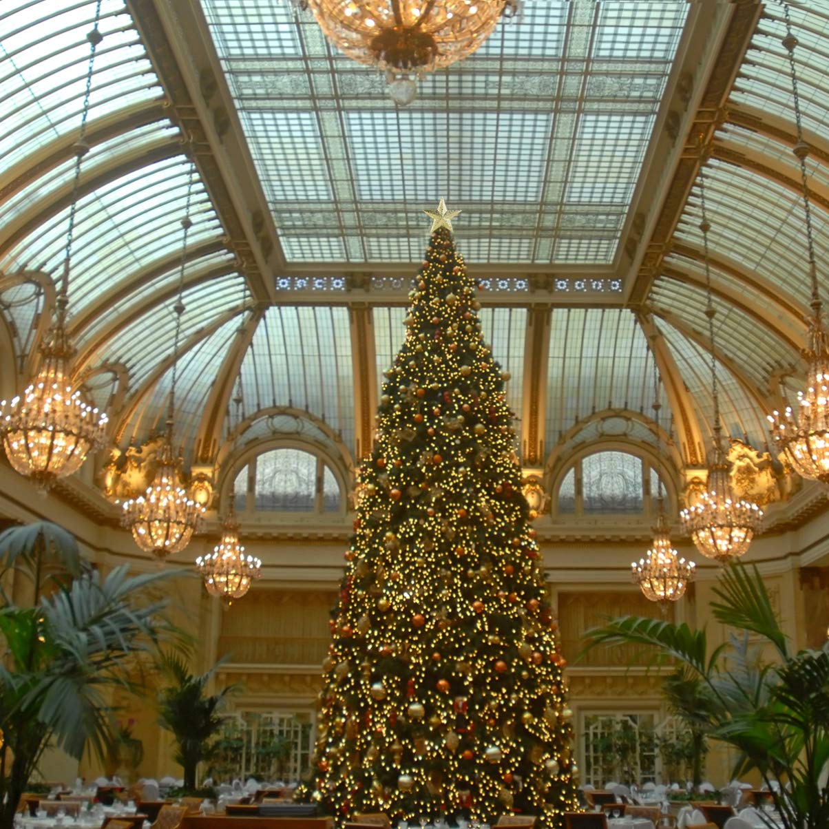 Cabilock Mini Christmas Tree Topper Small Star Tree Topper Christmas Star Treetop Ornaments Decorative for Xmas Christmas Party(