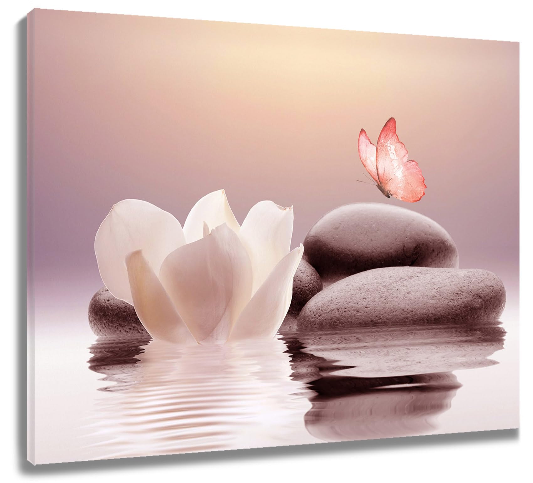 Eobtain Zen White Flower Canvas Wall Art Floral And Pink Butterfly On Stone Modern Framed Picture Yoga Spa Spiritual Painting Ar