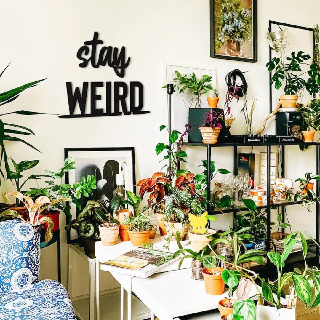 7 Decore Stay Weird Weirdly Wonderful Wood Wall Decor - Medium Size 13.5cm W x 60cm H, Sparkle Touch Matt Finish, Made in India