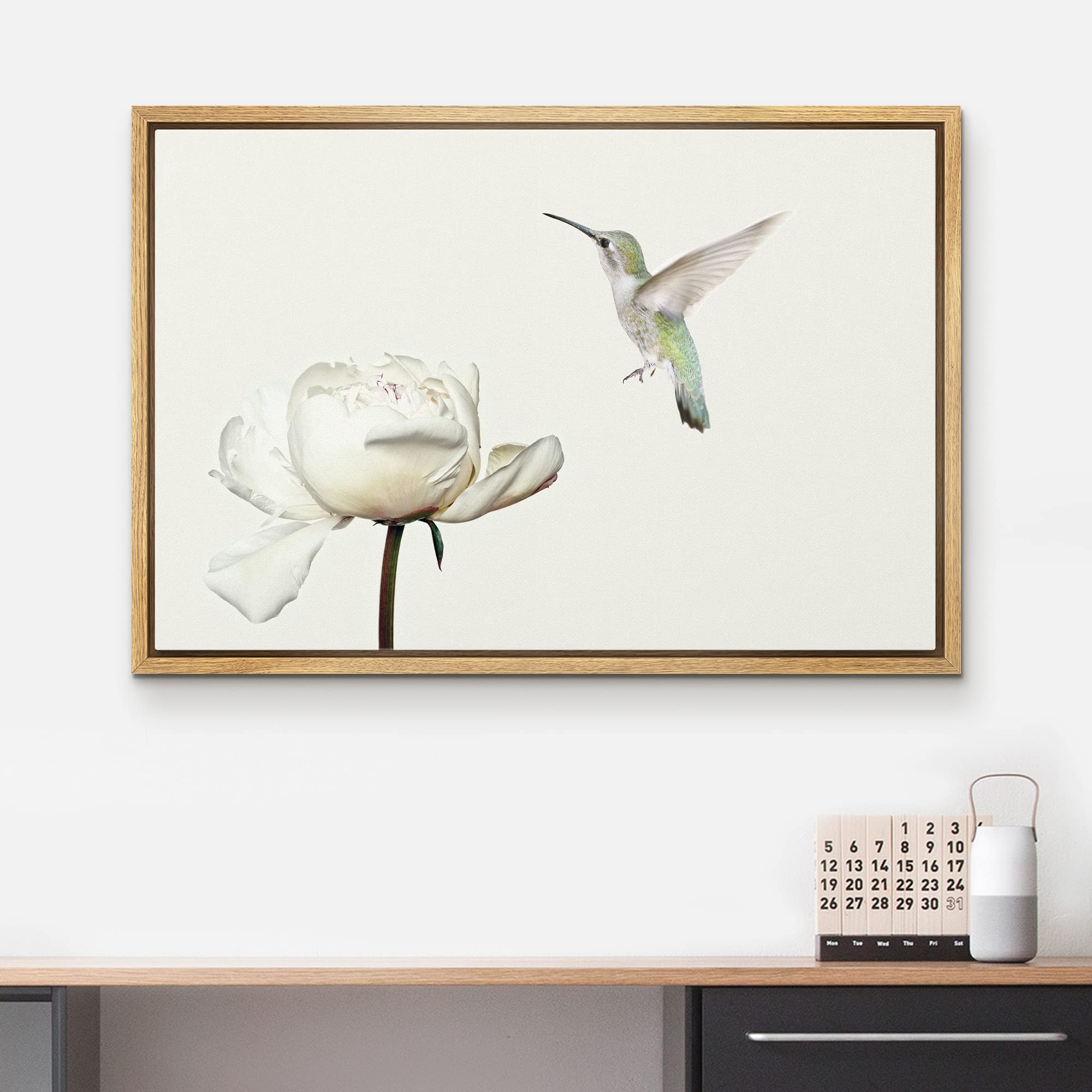 Wall26 Framed Canvas Print Wall Art Hummingbird Flies On White Carnation Flower Animals Wildlife Realism Rustic Scenic Nature Ch
