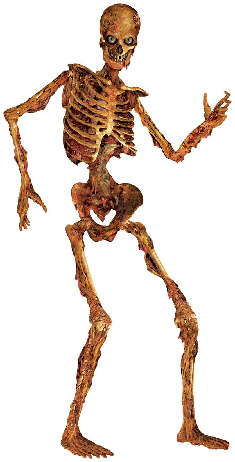 Beistle Jointed Skeleton Figurine for Party 6 Feet Paper Cutout-Used Condition