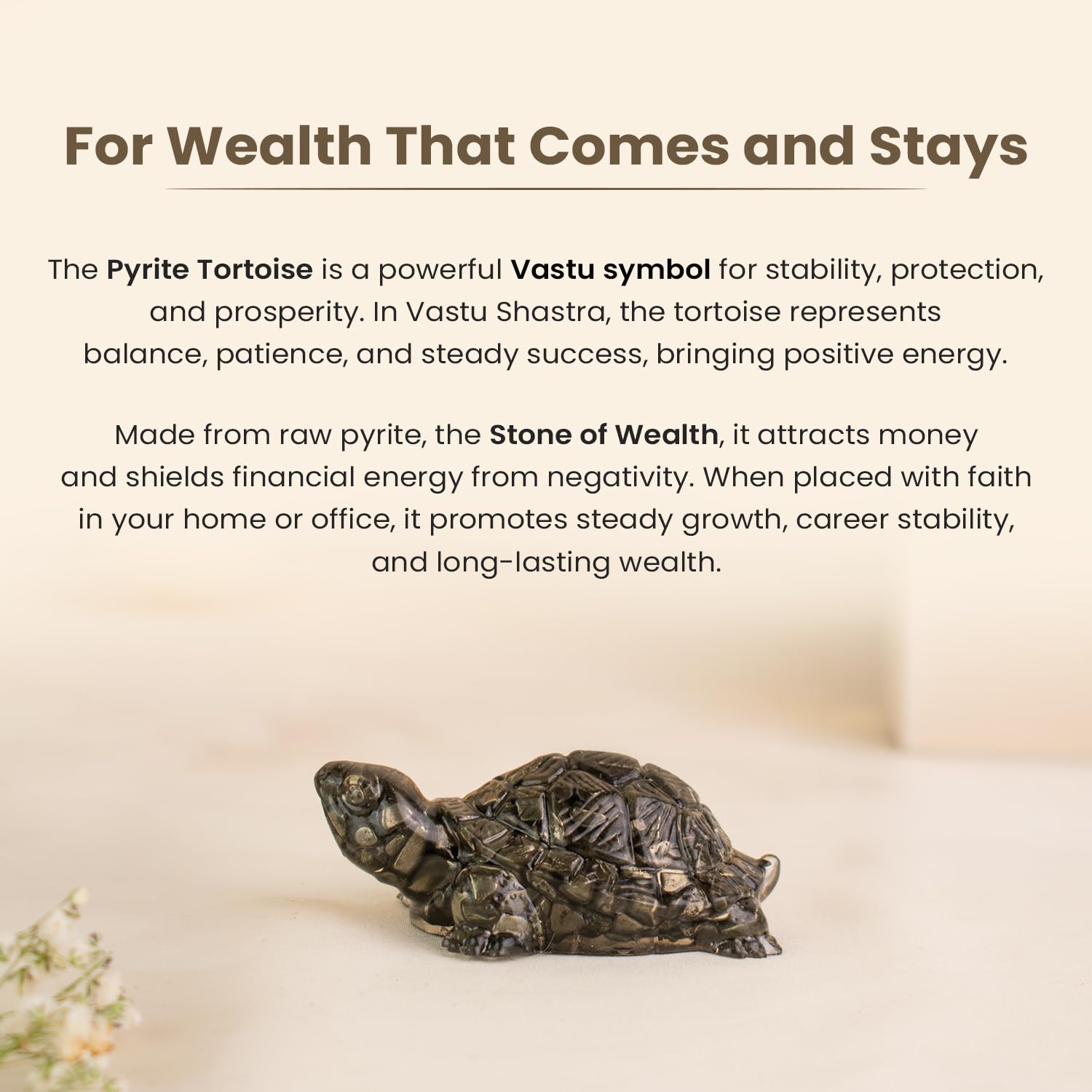 Pyrite Resin Tortoise (Kachhua)