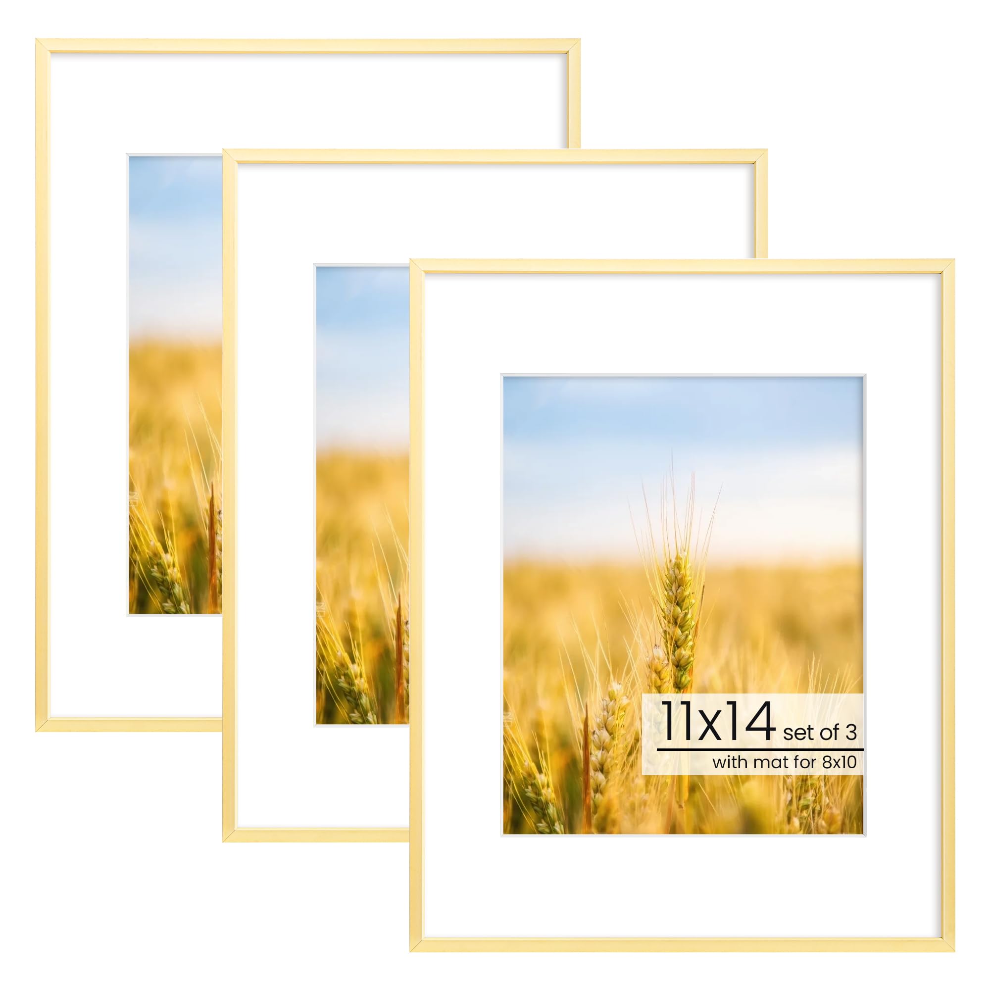 Acovy 11x14 Picture Frame, Inclined Plane Aluminum Photo 11x14 Frame Matted to 8x10, with High Definition Plexiglass, for Wall o