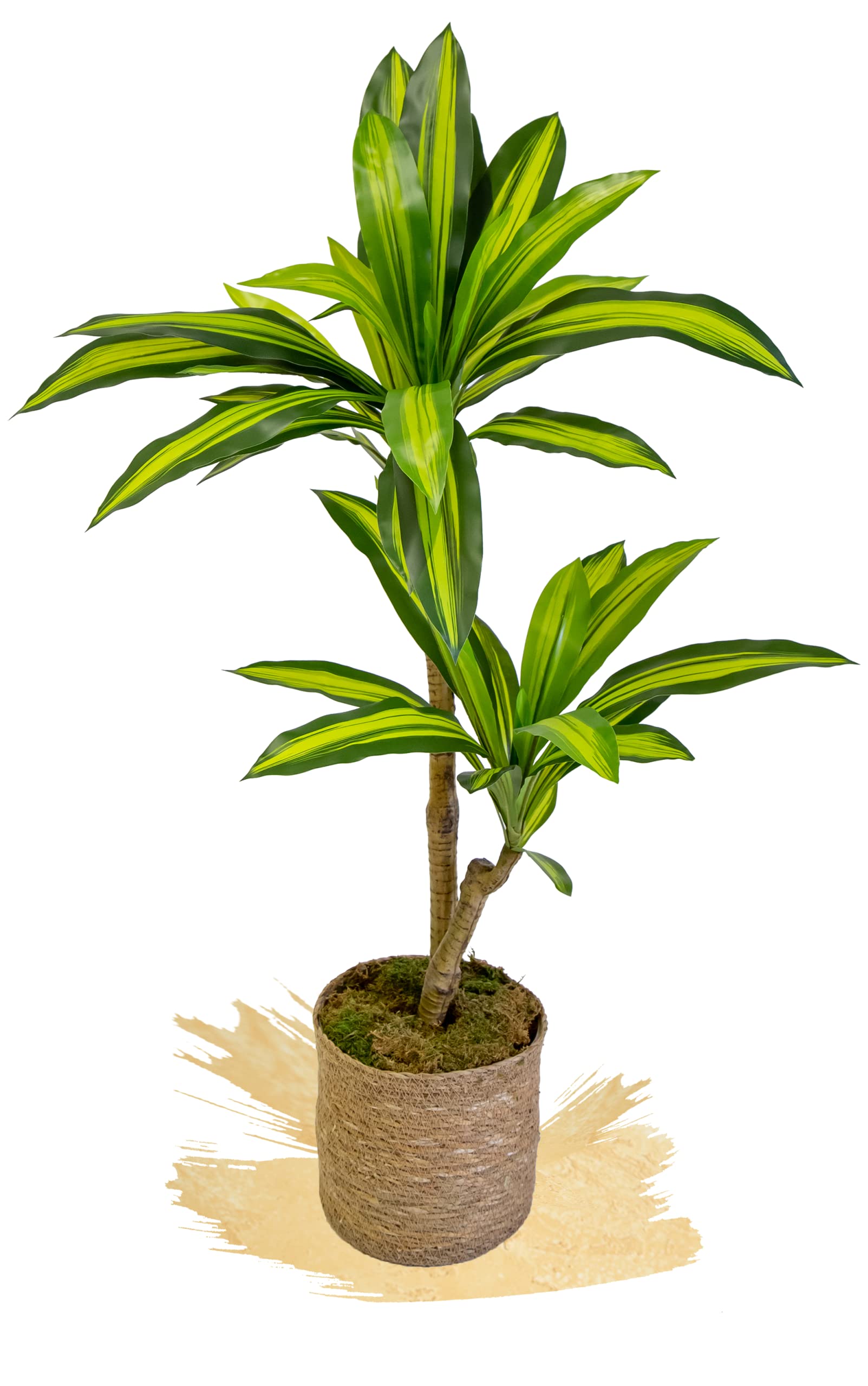 Maia Shop Artificial Dracena Tree, Made With The Best Materials, Ideal For Home Decoration, Artificial Plant (41-Inch)