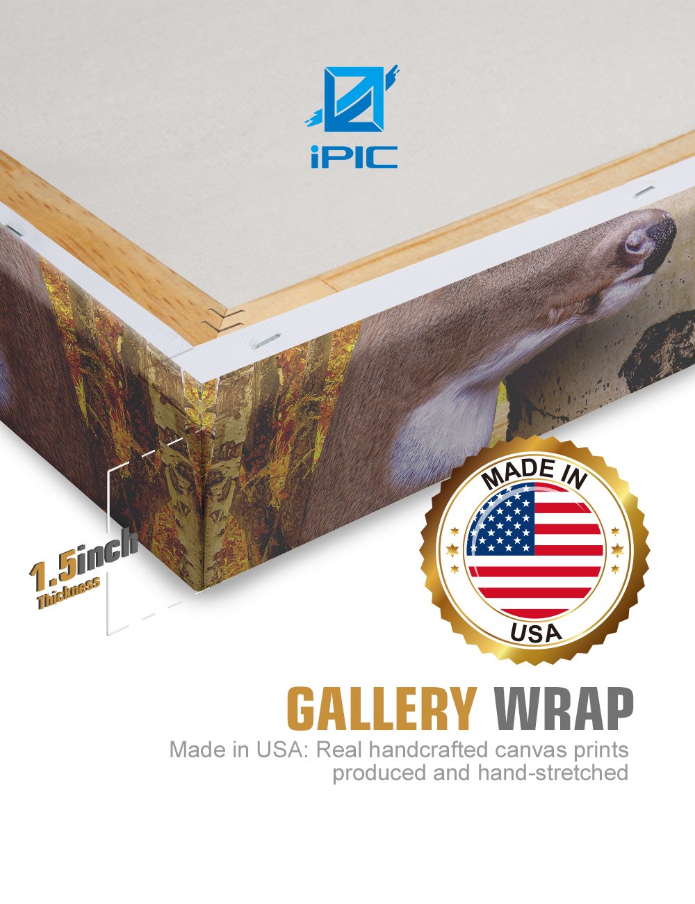 Ipic - Oh My Dear, Personalized Artwork With Names And Date On, Customized Gift For Anniversary,Wedding,Birthday And Holidays.To