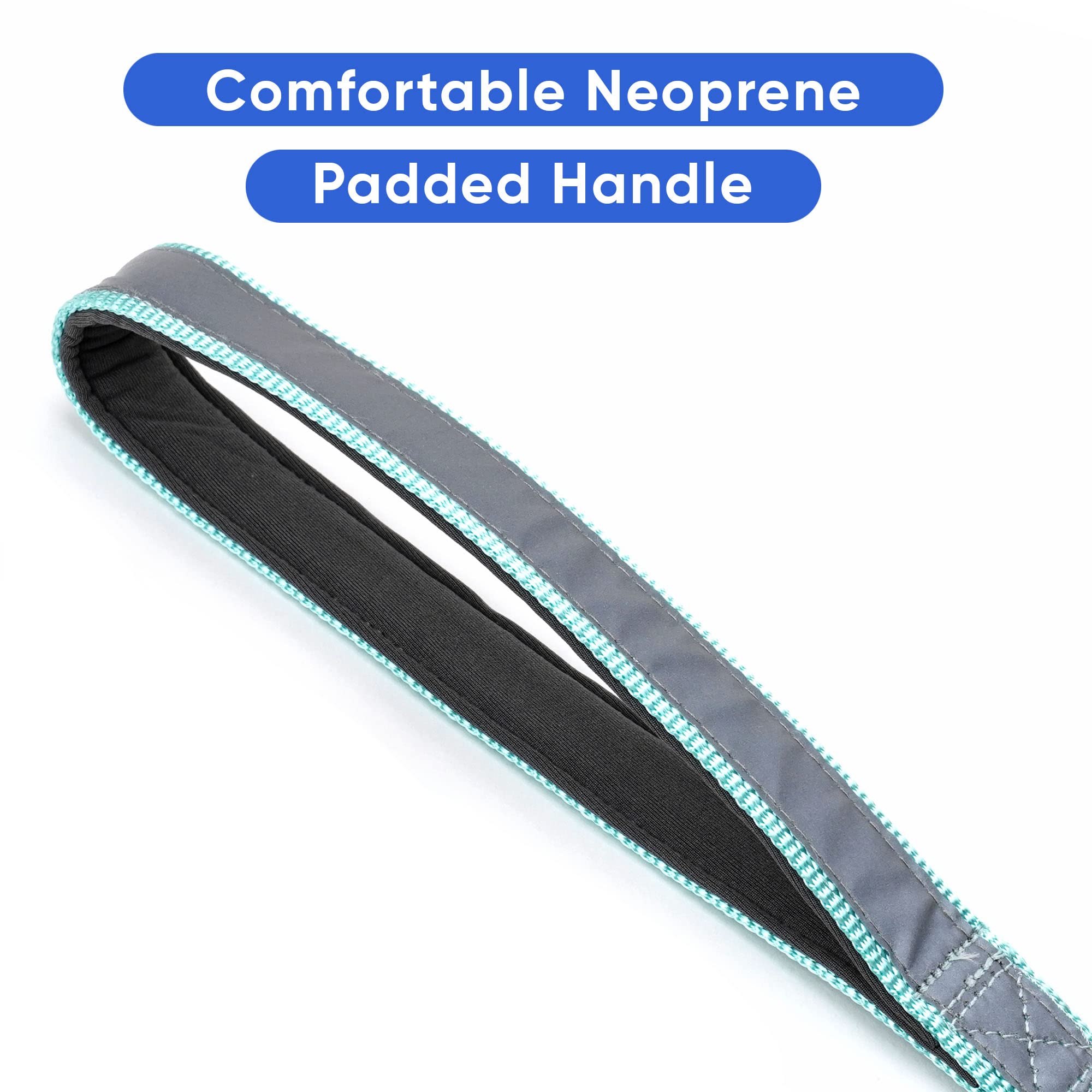 Pawtitas 6 Ft Padded Dog Leash With Comfortable Neoprene Padding Handle - Teal Lead  Small Reflective Dog Leash With Highly Refl