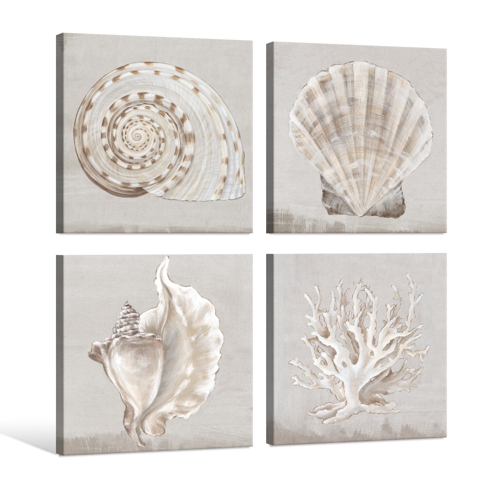 JAPO ART White shells Coastal Modern Seascape Canvas Wall Pictures Vintage Giclee Print on Canvas by PI Creative Art Stretched Living Room Bedroom Wall(White shells Eva Watts  12 x 12 Inch x 4 pcs)
