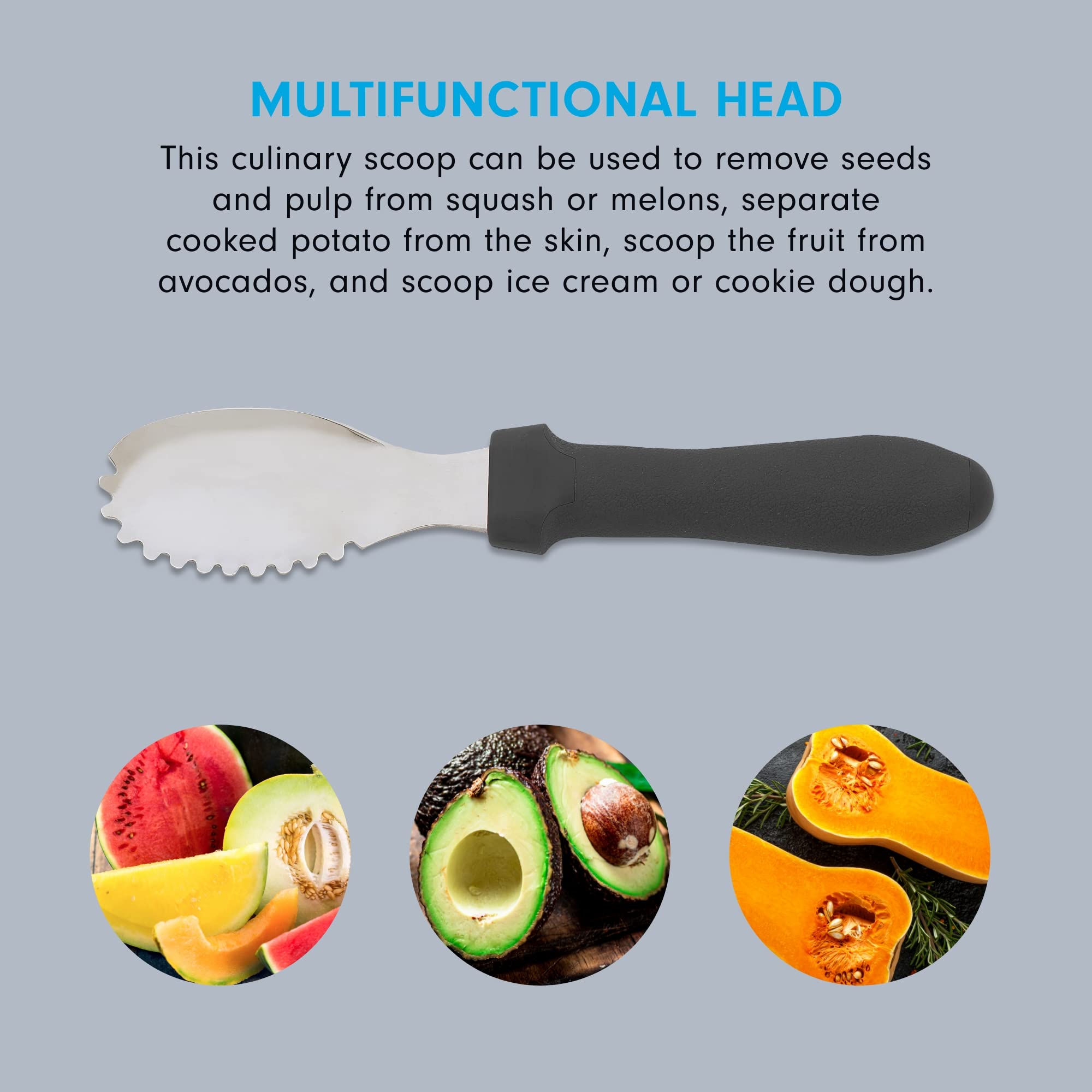 Messermeister Pro-Torch Plus Culinary Scoop & Scraper - Multi-Purpose Tool to Remove Seeds  Pulp & More - AISI420 Stainless Steel & Oversized Handle