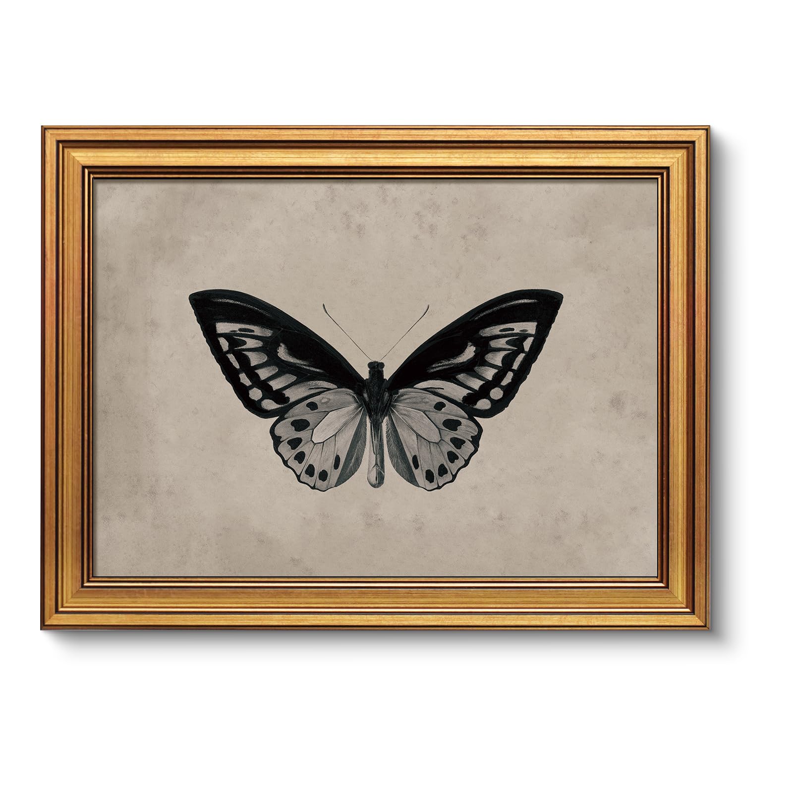 VIYYIEA Gold Framed FG-01 Black 12?6 Inches