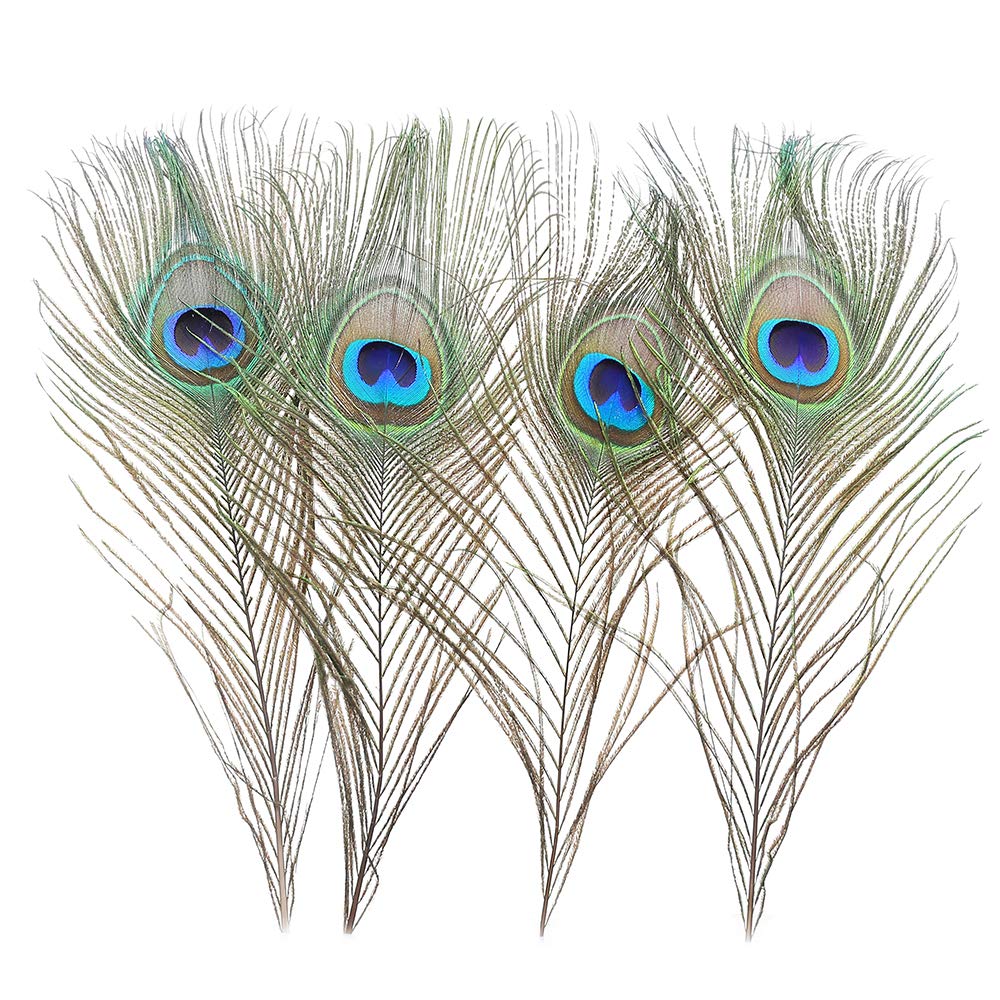 36 Pcs Real Natural Peacock Eye Feathers 10-12 Inch For Diy Craft, Wedding And Holiday Decorations