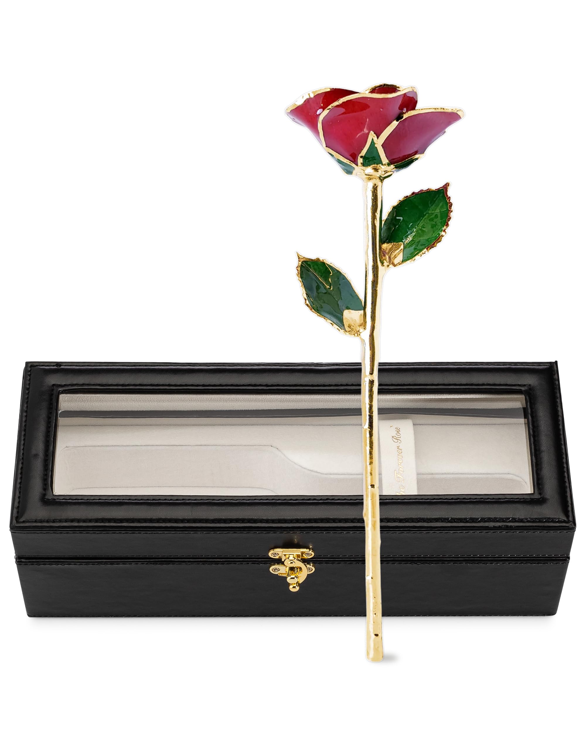 Forever Rose Leather Case Bundle, Genuine, One Of A Kind, Real Gold Trimmed Bloomed Red Rose With Beautiful Leather Case With Le