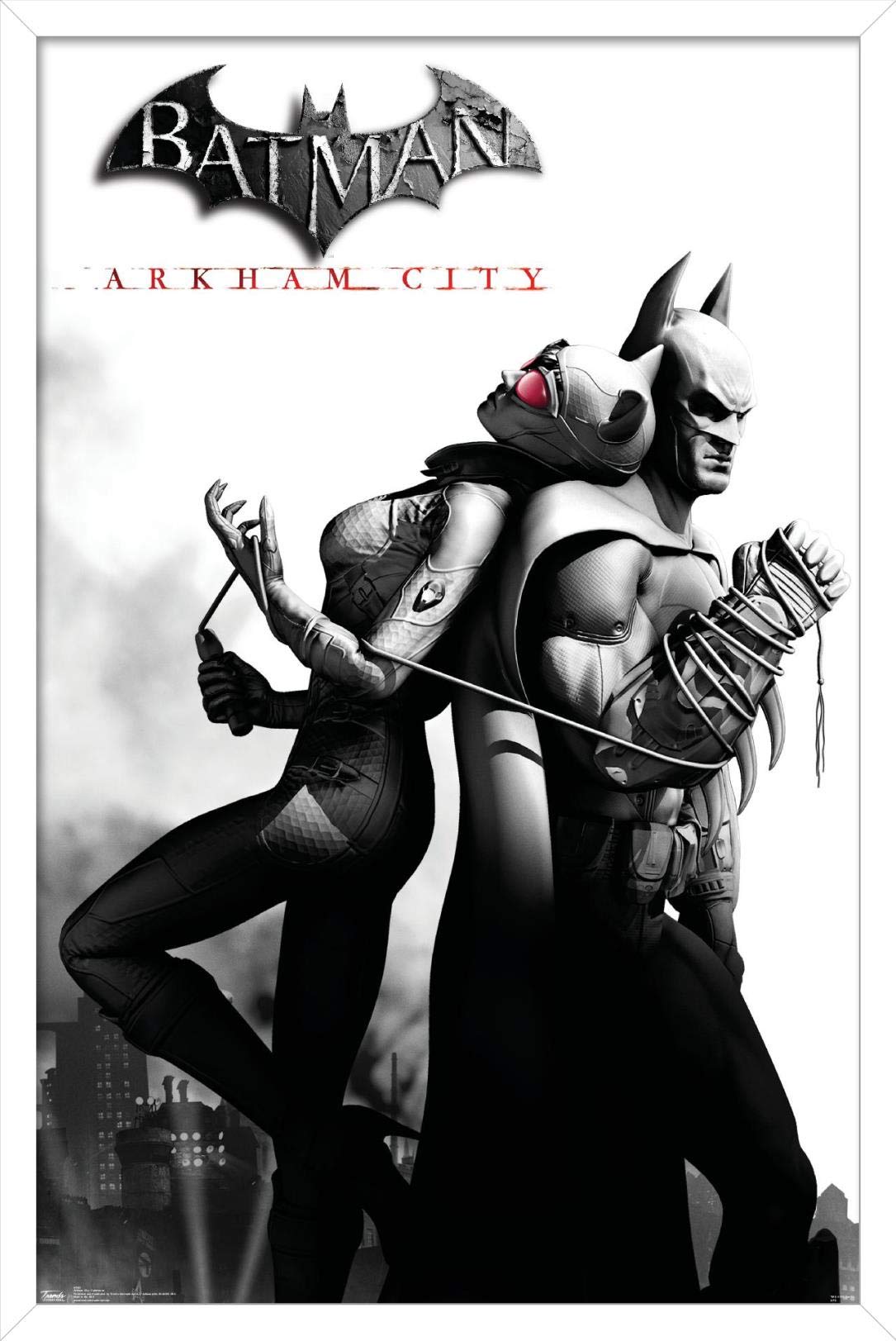 Trends International Dc Comics Video Game - Arkham City - Catwoman Wall Poster, 22.375'' X 34'', White Framed Version