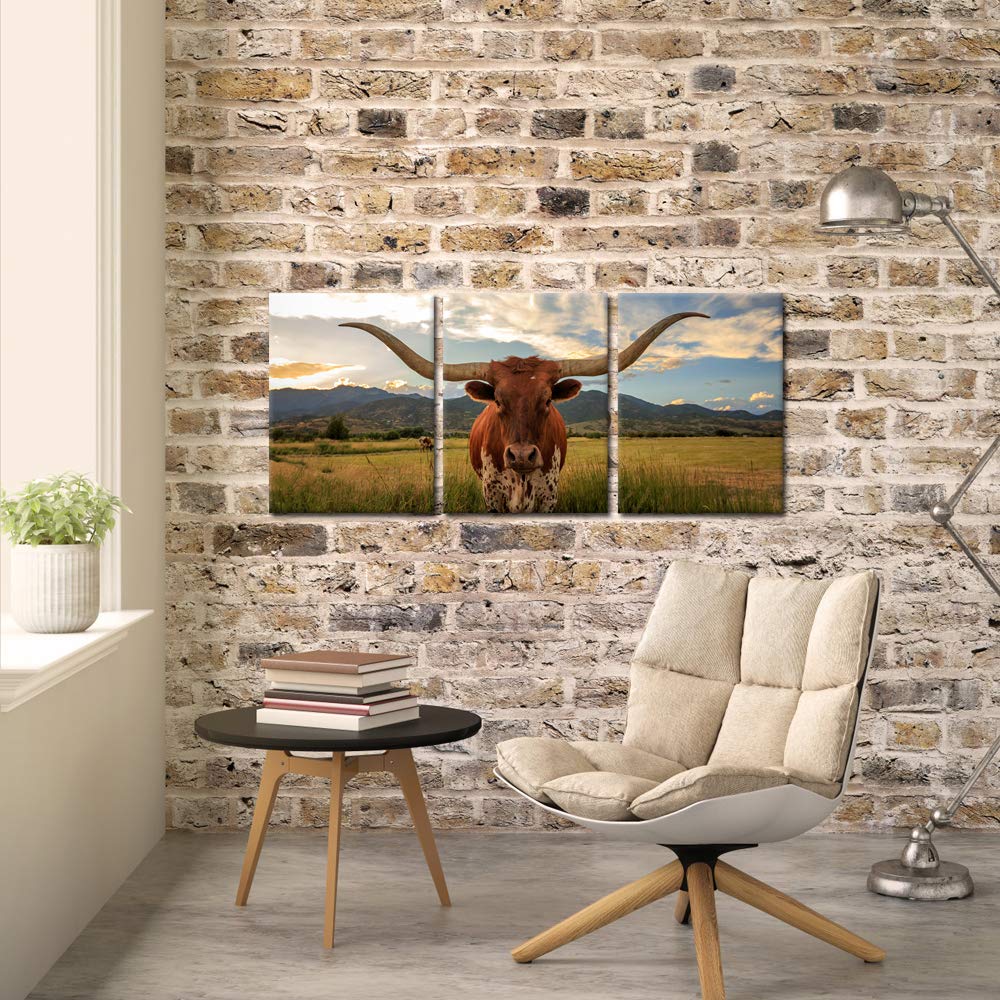 Iknow Foto 3 Piece Highland Cow Canvas Wall Art Prints Longhorn Photo Contemporary Paintings Farm Animals Pictures Giclee Artwor