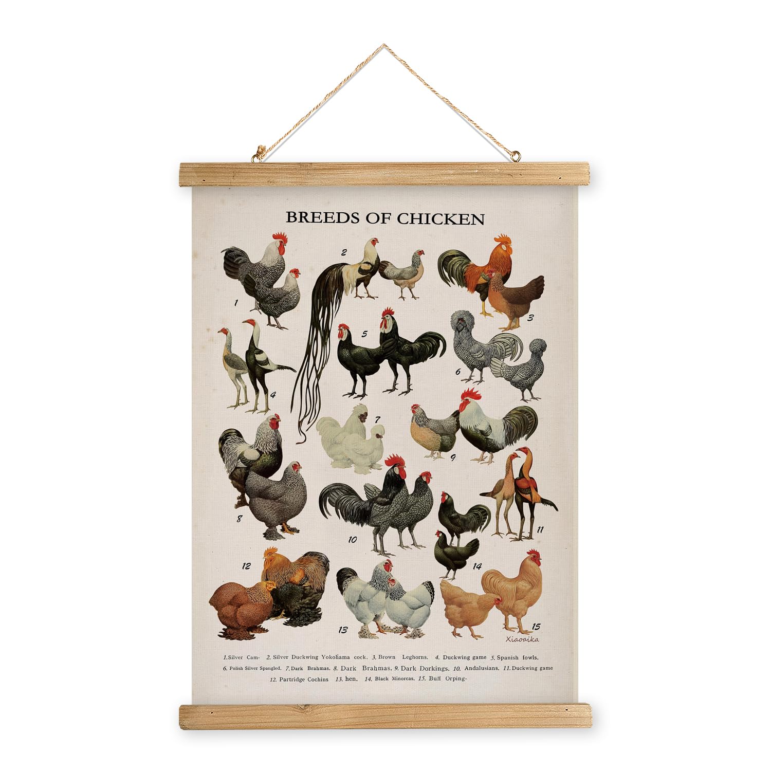 Xiaoaika Vintage-Inspired Chicken Breeds Art Print - Educational Wall Hanging Poster With Wooden Frame - Rustic Farmhouse Decor,
