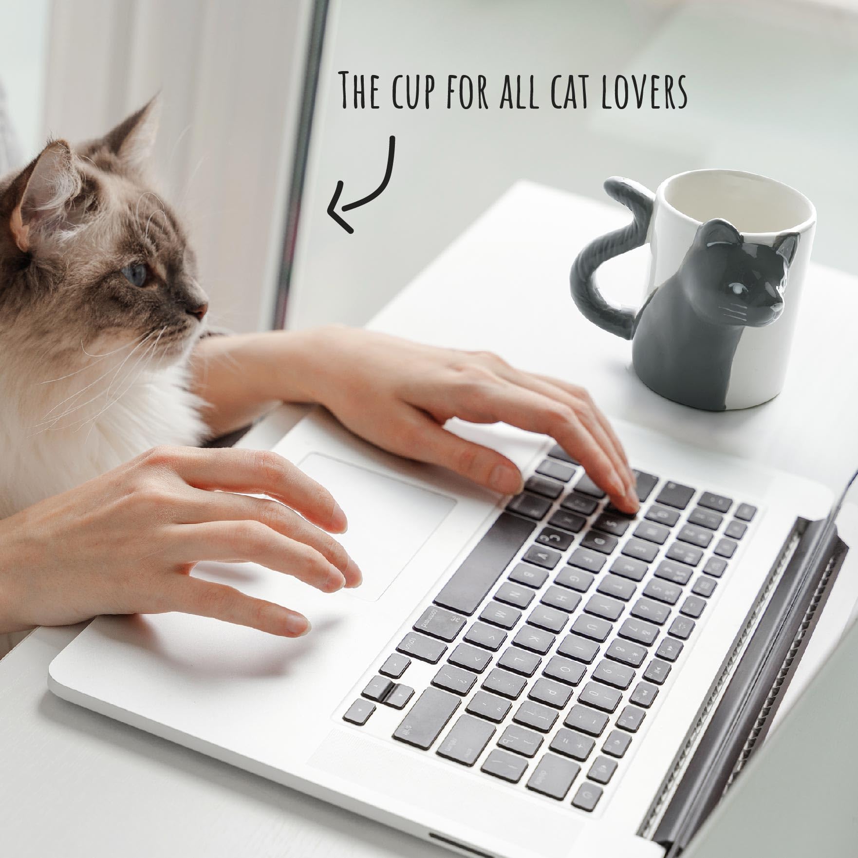MIAMIO - Kissing cat Mugs Setcoffee cups  cat Lover gifts for MenWomen