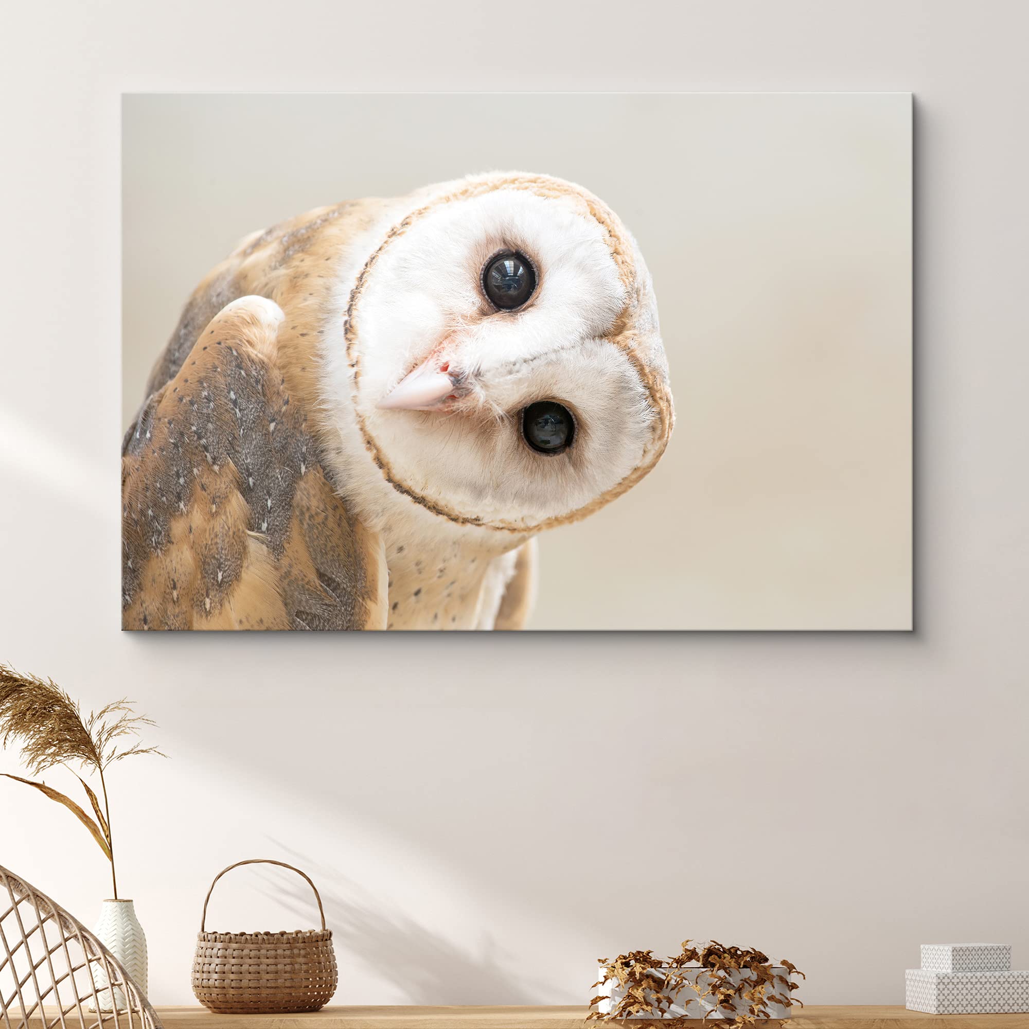 Signford Canvas Print Wall Art White Owl With Twisted Head Animals Wildlife Photography Realism Rustic Portrait Relax/Calm Cool