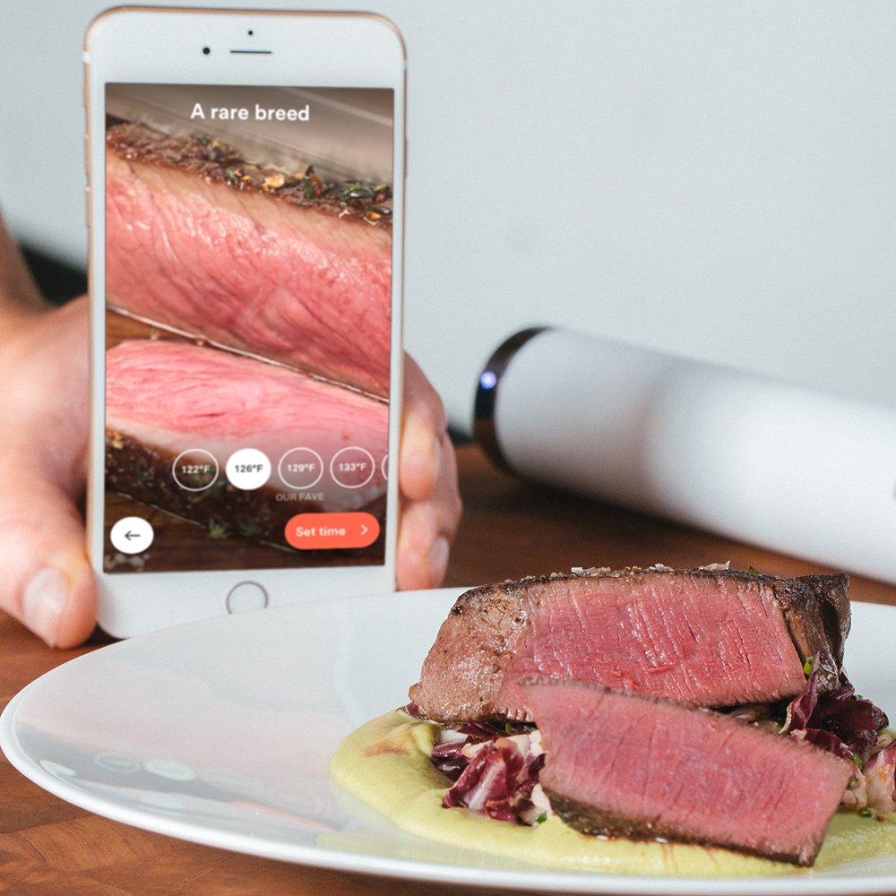 Breville Joule Sous Vide, Stainless Steel, Cs10001