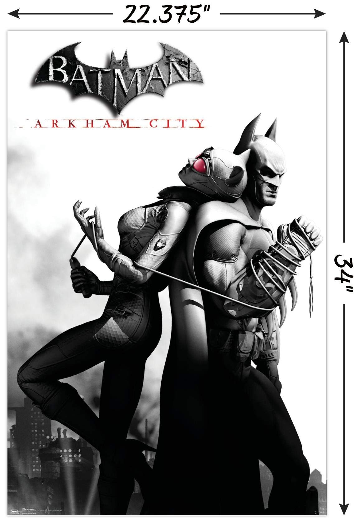 Trends International Dc Comics Video Game - Arkham City - Catwoman Wall Poster, 22.375'' X 34'', Premium Poster & Mount Bundle
