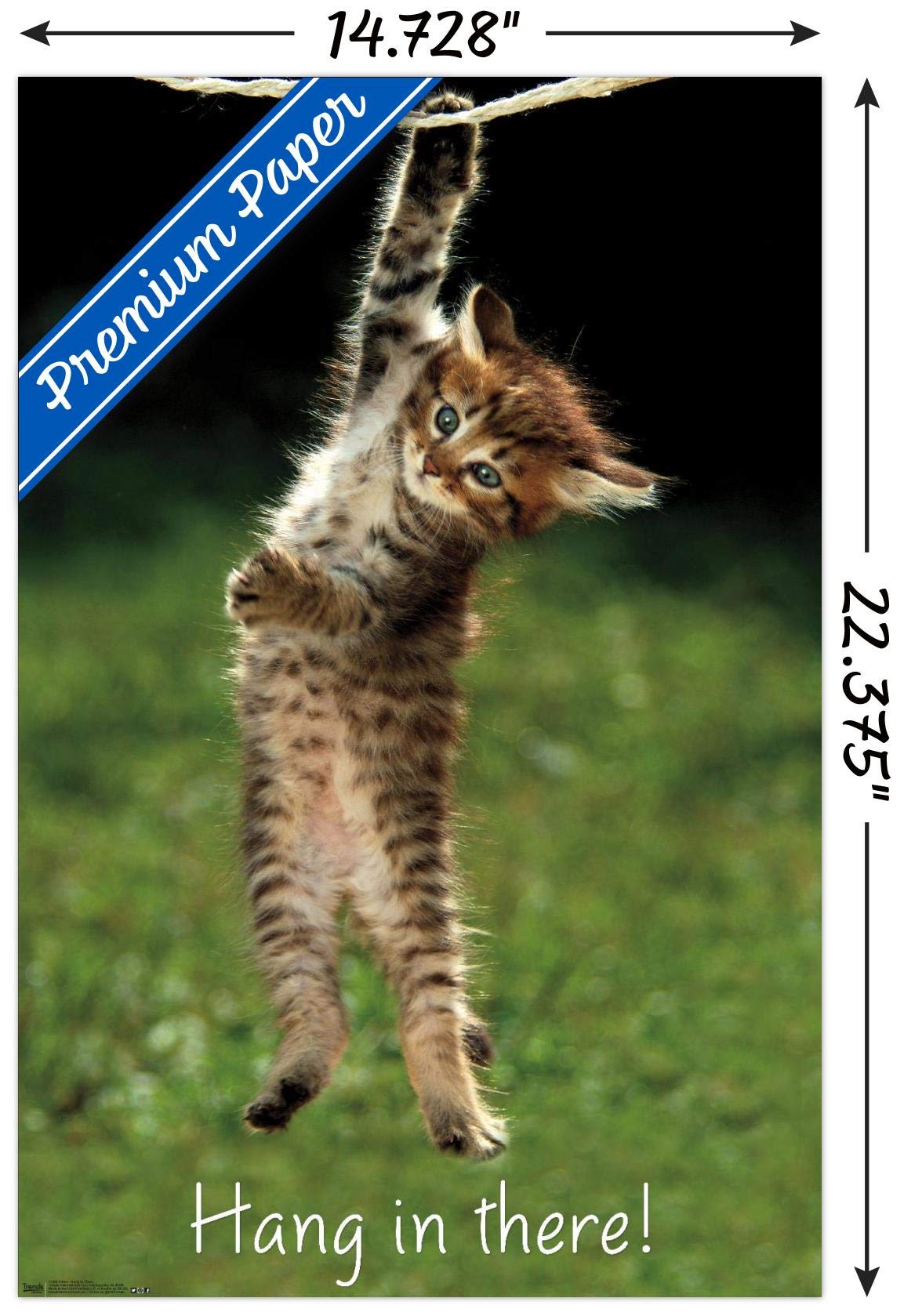 Trends International Famous Kitten Hang In There Poster Wall Poster, 14.72'' X 22.37'', Premium Poster & Mount Bundle