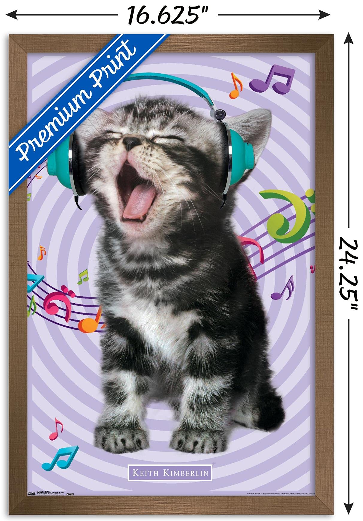 Trends International Keith Kimberlin - Kitten - Singing Wall Poster, 14.725'' X 22.375'', Bronze Framed Version