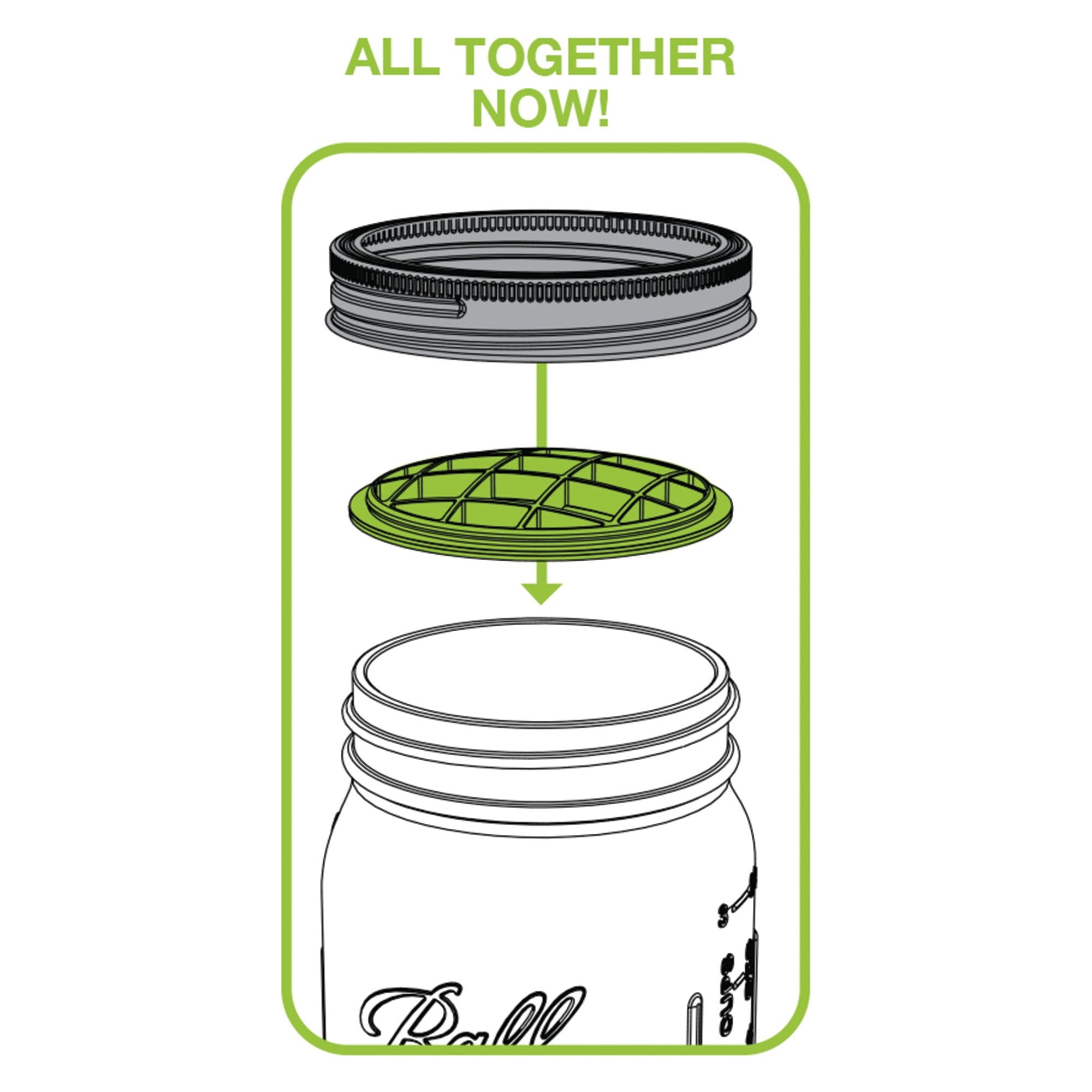 Jarware Flower Frog Grid  Pen and Pencil Organizer for Wide Mouth Mason Jars  Green