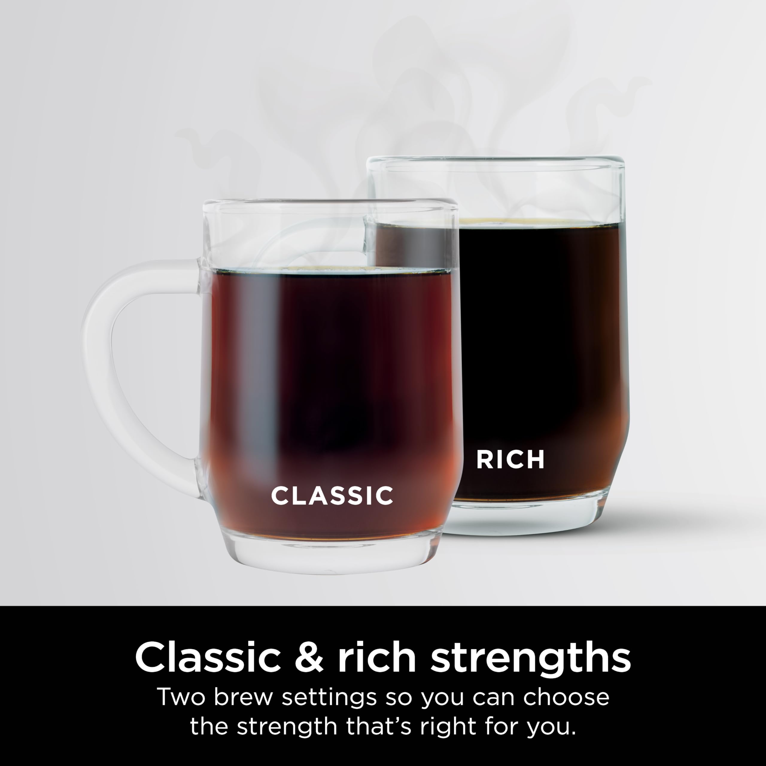 Ninja 12-Cup Programmable Coffee Brewer, Glass Carafe, Adjustable Warm Plate, Stainless Steel, Model CE251