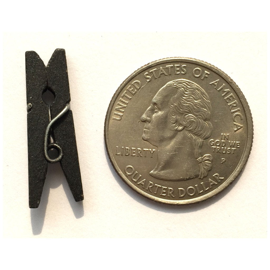 Lwr Crafts Wooden Mini Clothespins 200 Per Pack 1'' 2.5Cm (Black)
