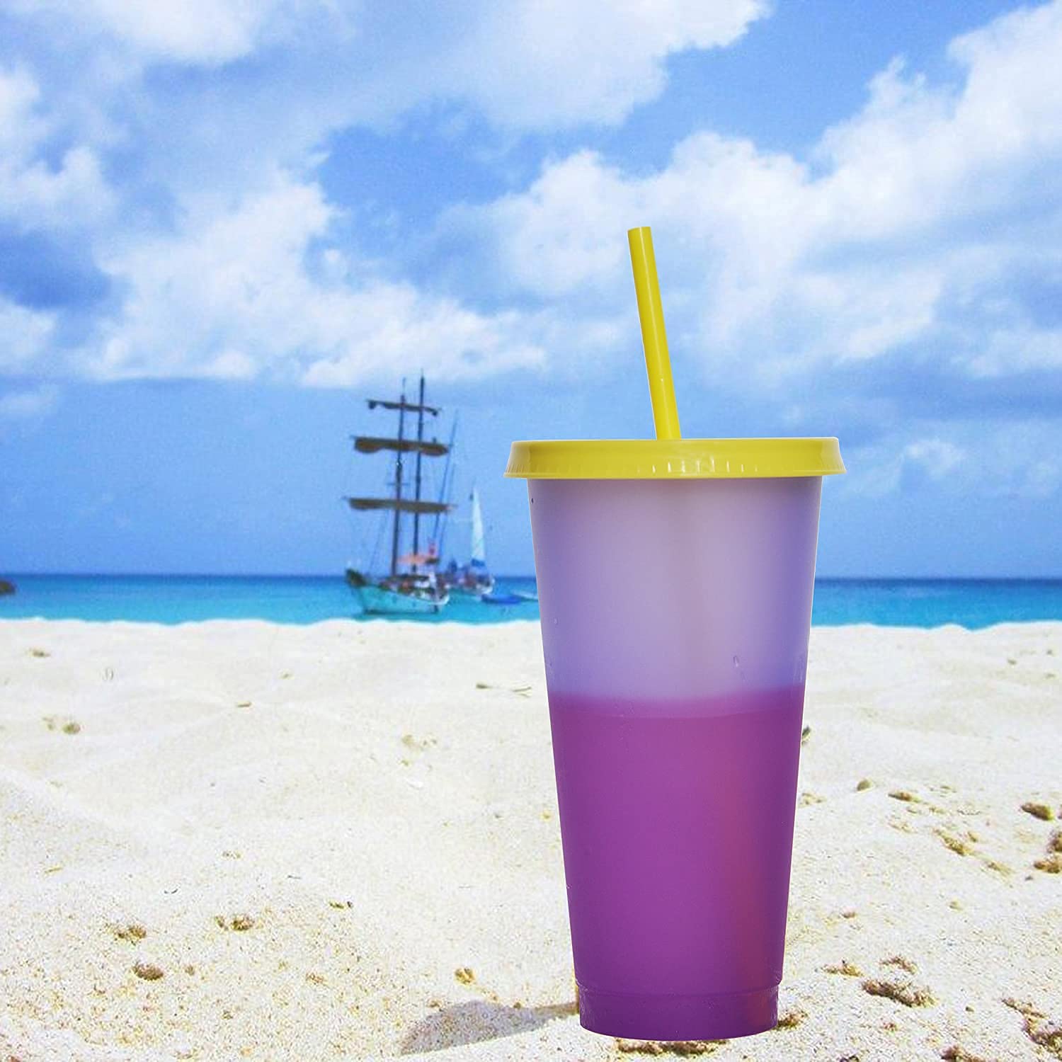 Color Changing Cups Set Cooler 24Oz Reusable Plastic Cold Drink Cups With Lids And Straws For Adults -With Lids And Straws In Br