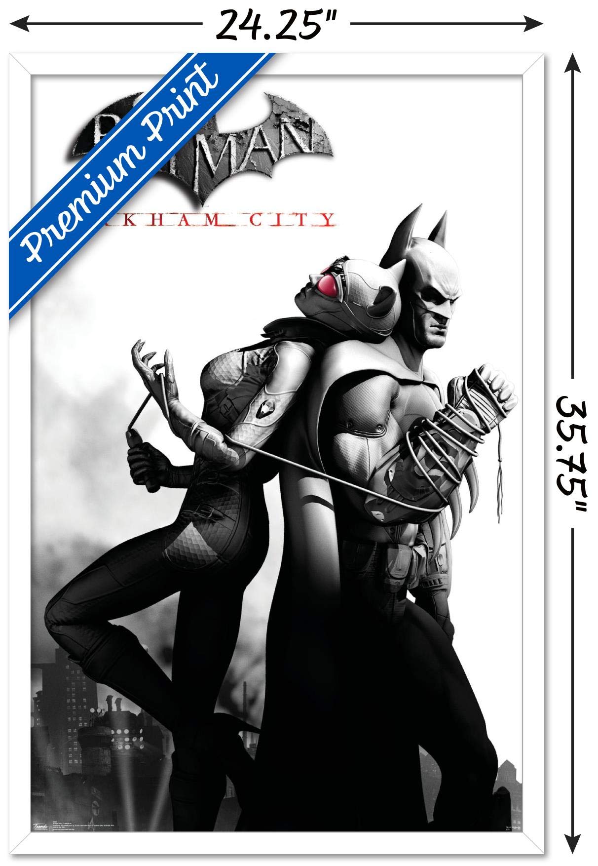 Trends International Dc Comics Video Game - Arkham City - Catwoman Wall Poster, 22.375'' X 34'', White Framed Version