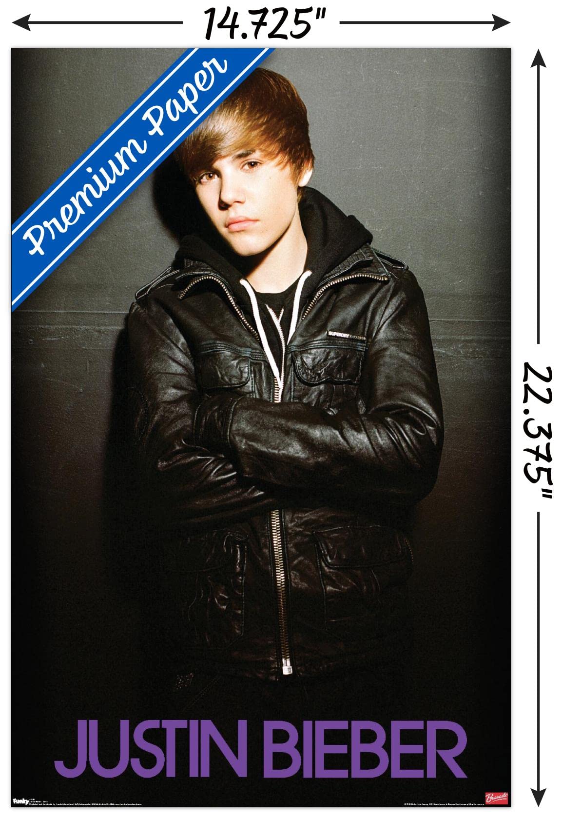 Trends International Justin Bieber - Love Wall Poster, 14.725'' X 22.375'', Premium Unframed Version
