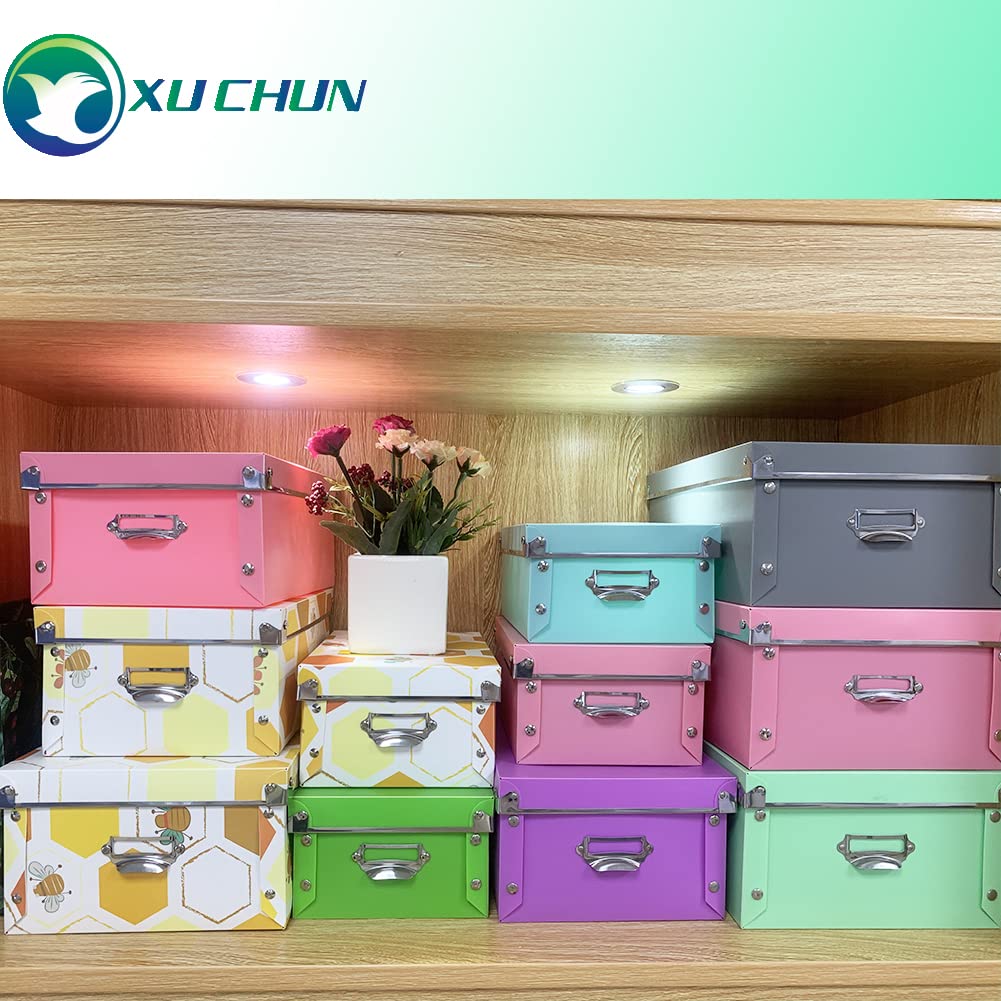 Xuchun Decorative Storage Box
