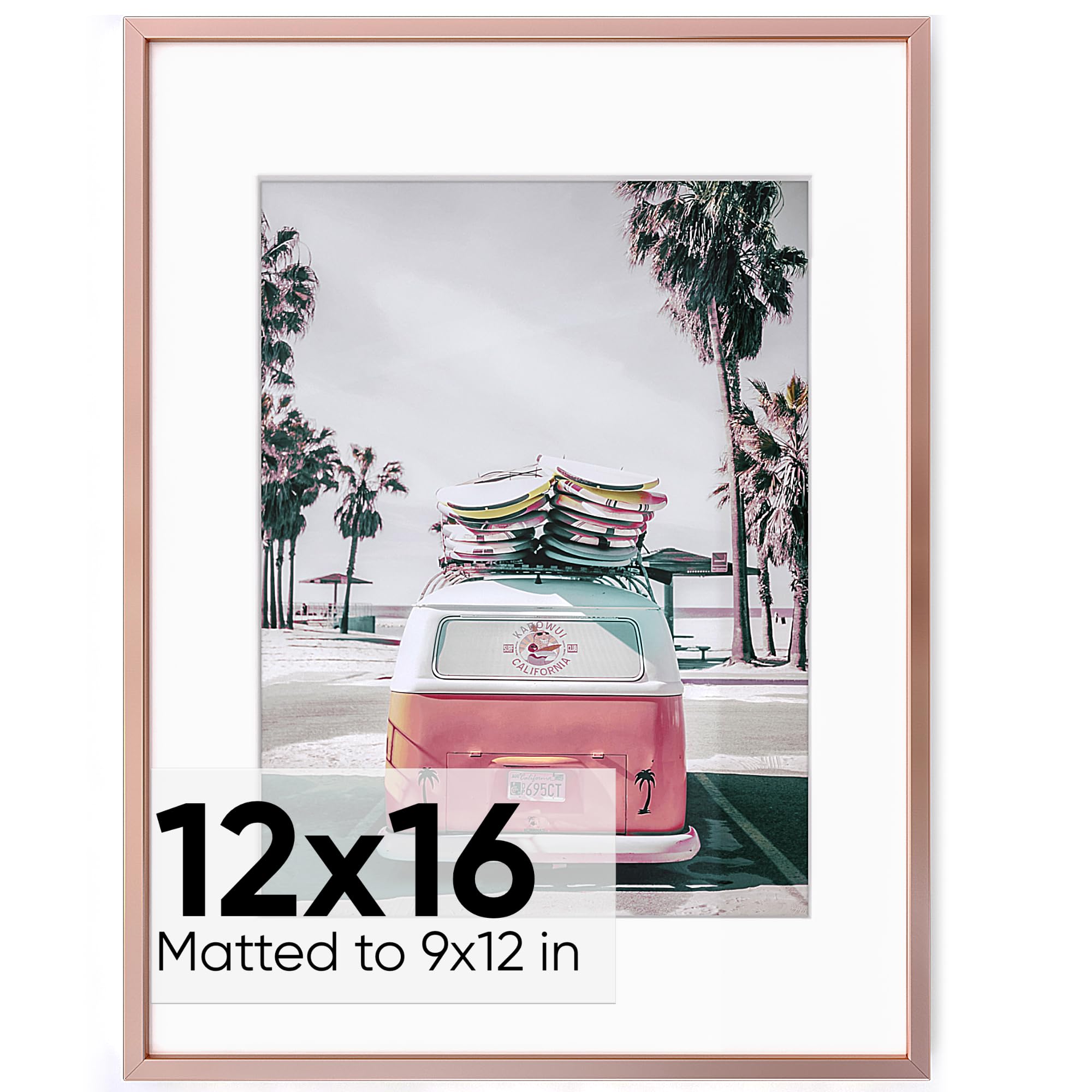 Homeforia - 12x16 inch Metal Picture Frame - 12 x 16 Aluminum Photo Frames - 12x9 Mat - Tempered Glass - Wall Hook Included - Se