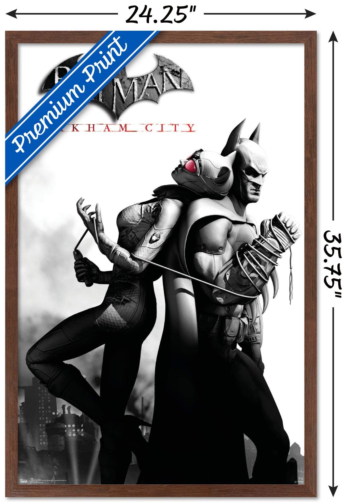 Trends International Dc Comics Video Game - Arkham City - Catwoman Wall Poster, 22.375'' X 34'', Mahogany Framed Version