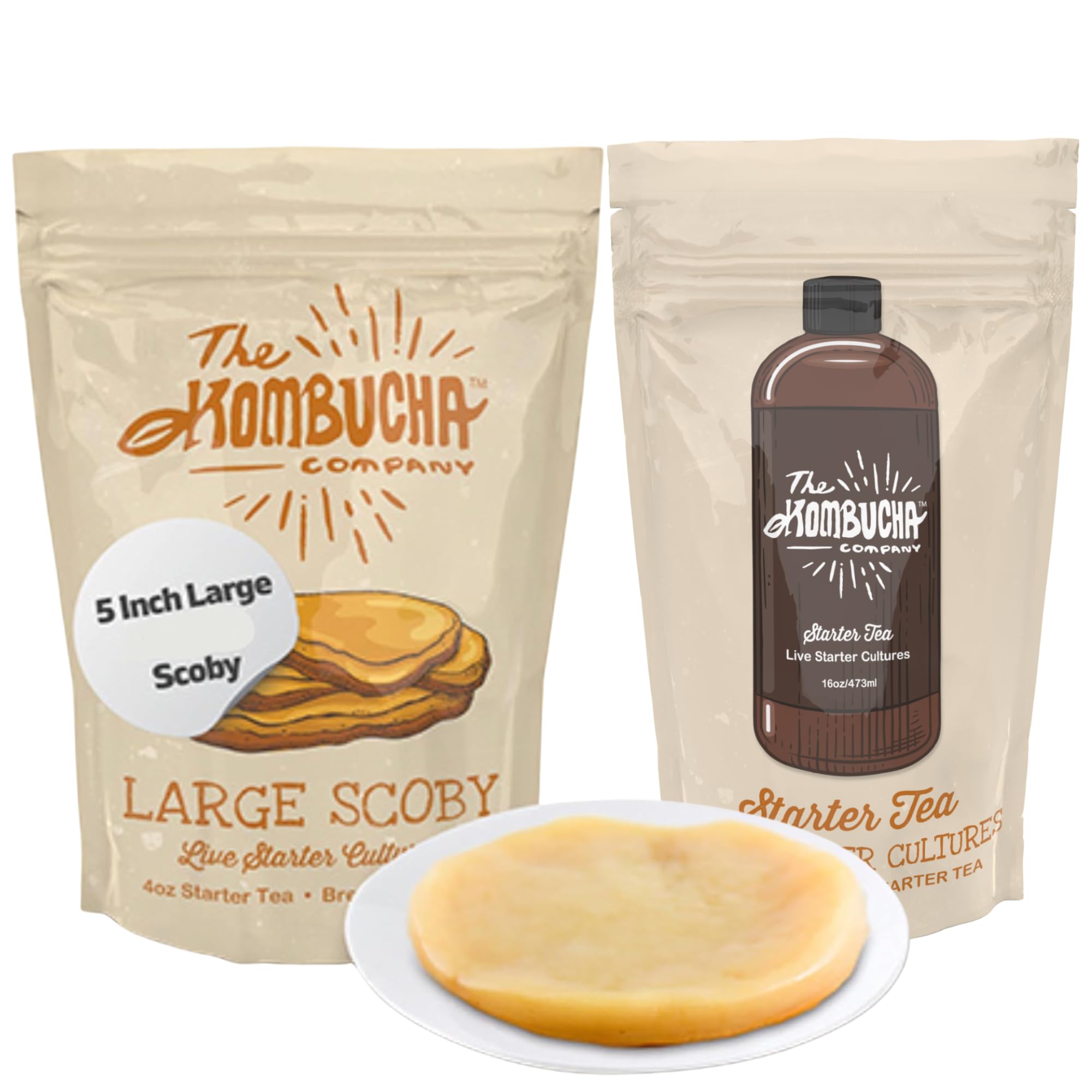 The Kombucha Company Large Kombucha Scoby & 16oz Bottle of Starter Tea l Makes One Gallon  Brew Organic Kombucha from Home  Made From Purified Rainwater