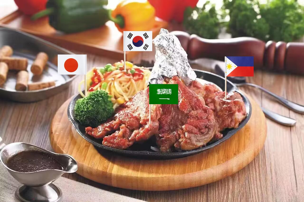 Stidsds Asia Asian 48 Countries Toothpick Flags Mini Small Country National Cupcake Toppers Stick Flag World International Festi