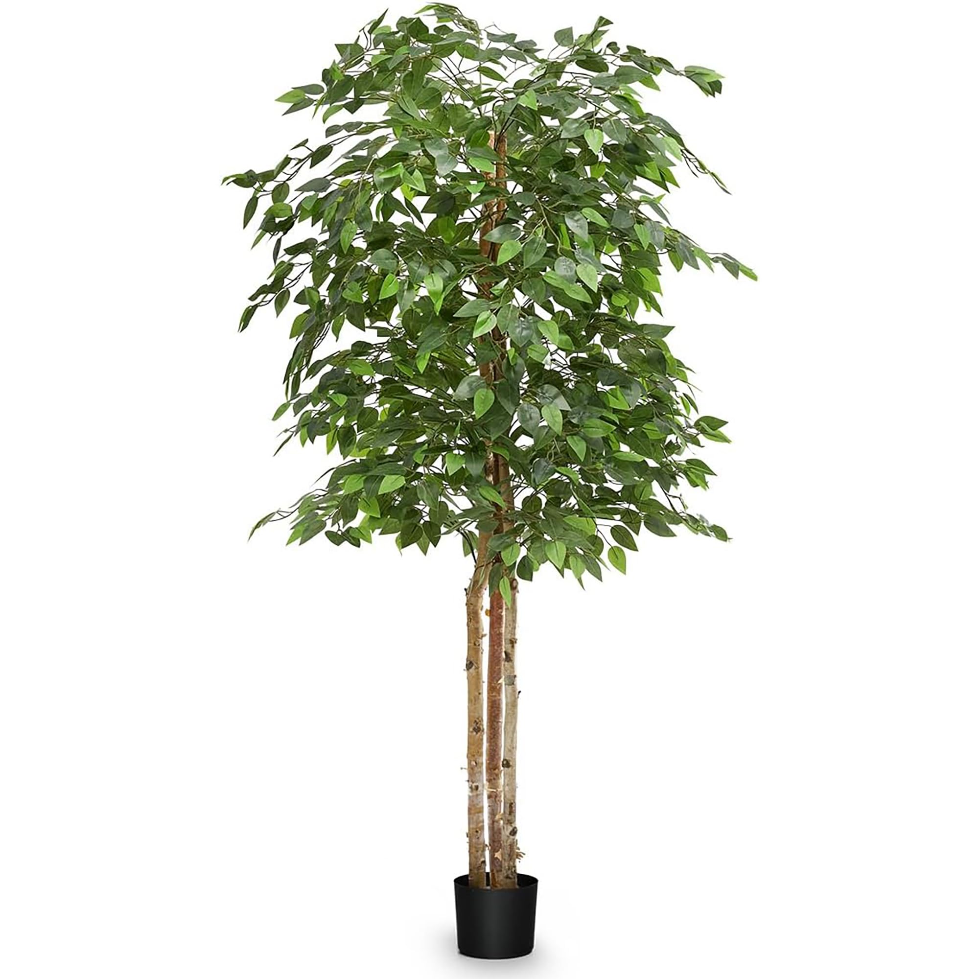 Maia Shop Ficus  Artificial Tree with Natural Trunks  Made with The Best Materials  Ideal for Home Decoration  Artificial Plant 6 feet Tall - 71 inches