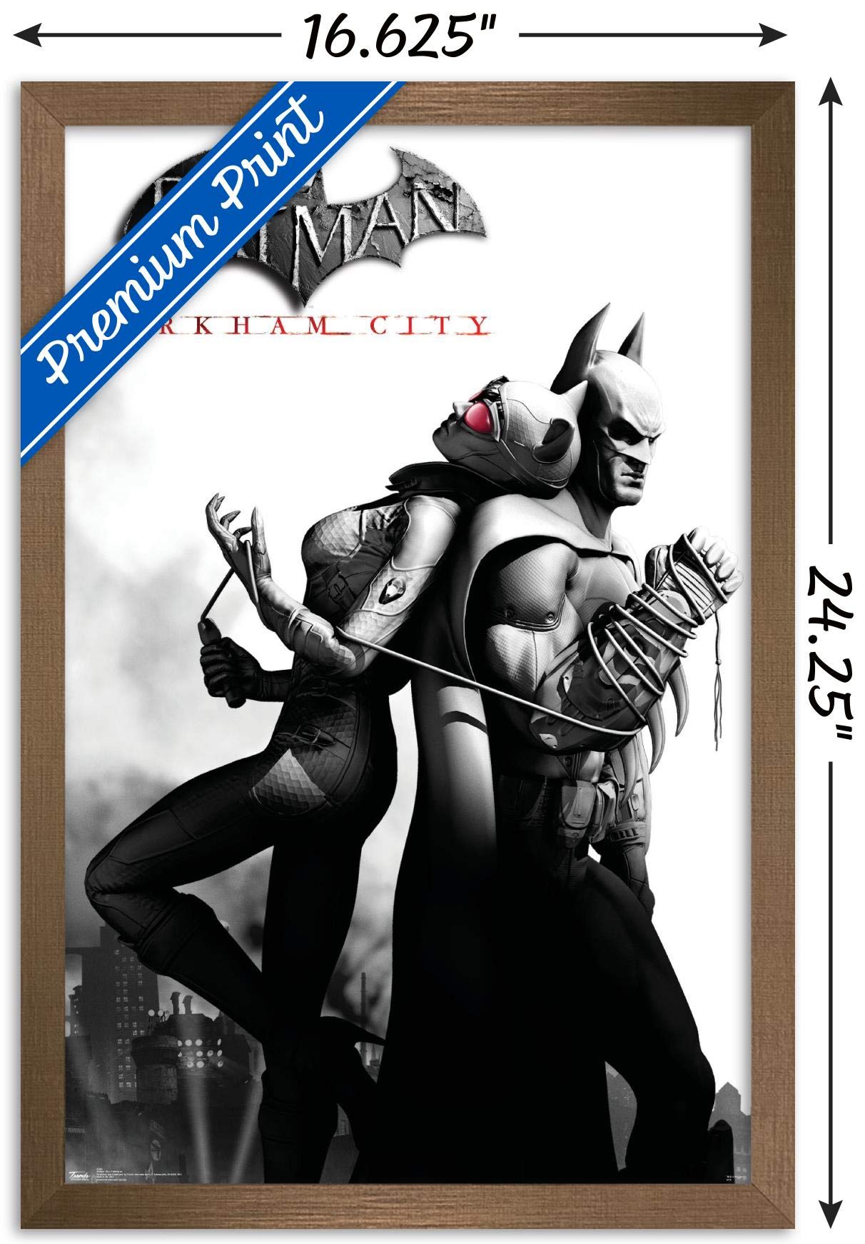 Trends International Dc Comics Video Game - Arkham City - Catwoman Wall Poster, 14.725'' X 22.375'', Bronze Framed Version
