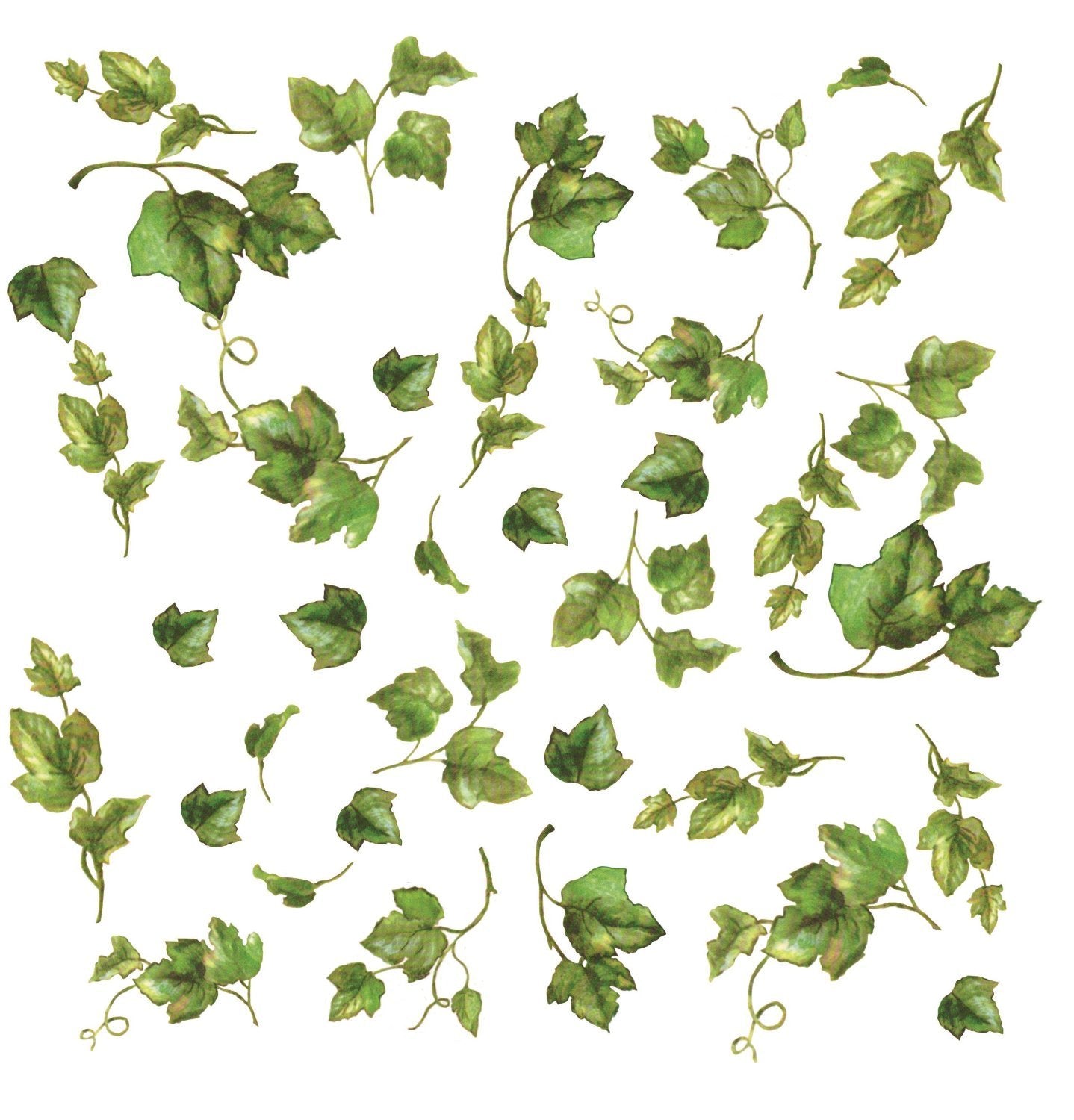Roommates Rmk1219Scs Evergreen Ivy Peel And Stick Wall Decals