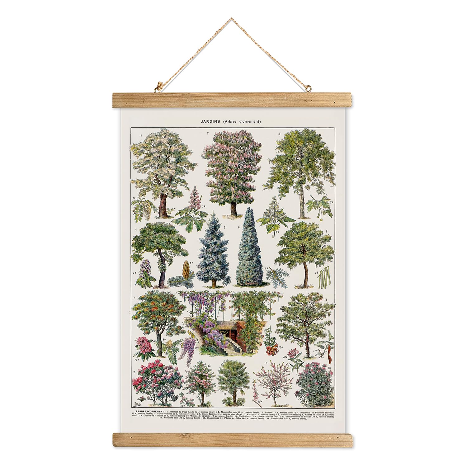 Xiaoaika Vintage Tree And Shrub Poster - Botanical Educational Retro Wall Art With Wooden Frame For Gardening Enthusiasts And La