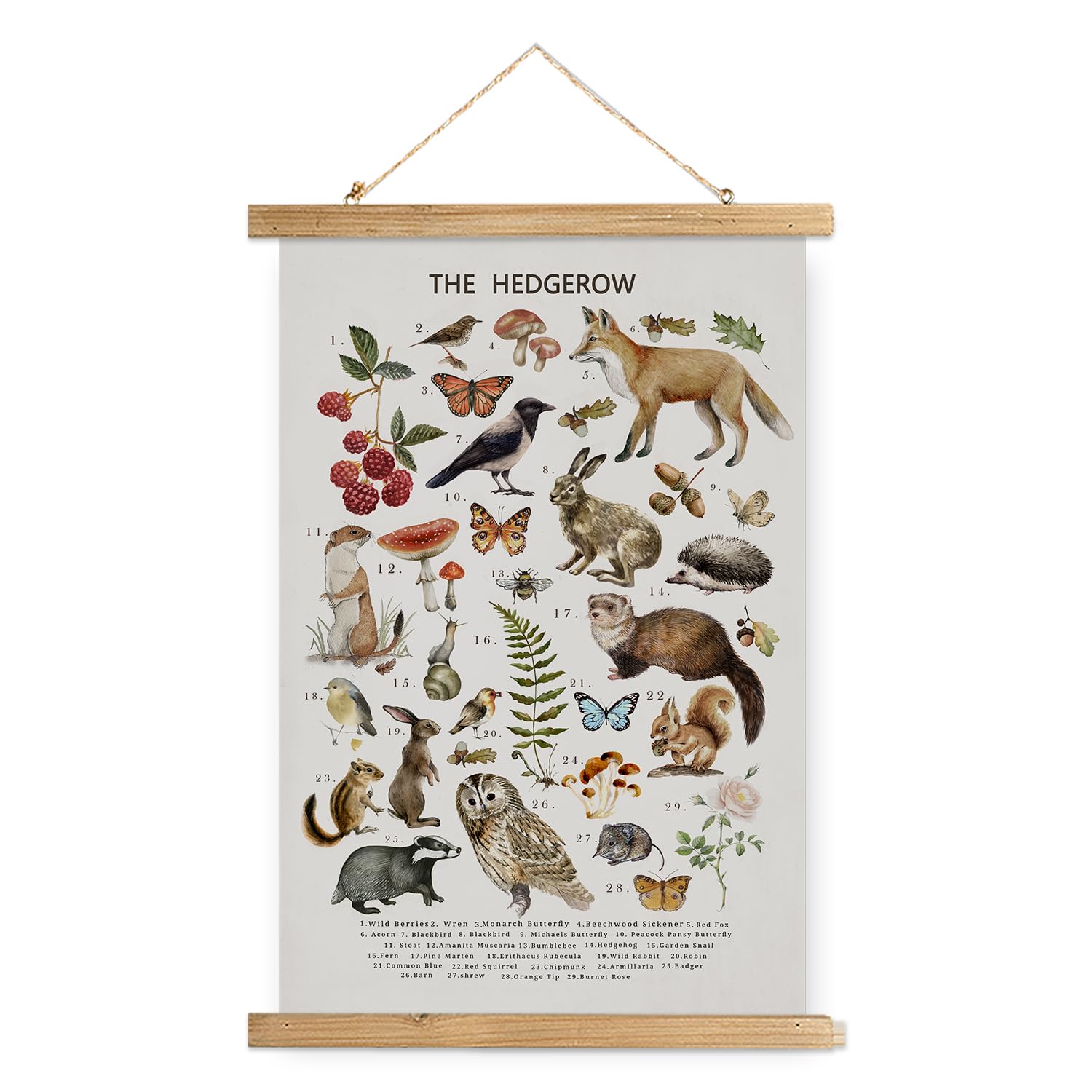 Xiaoaika British Hedgerow Wildlife Educational Poster - Illustrated Nature Chart With Wooden Frame - Countryside Animals And Pla