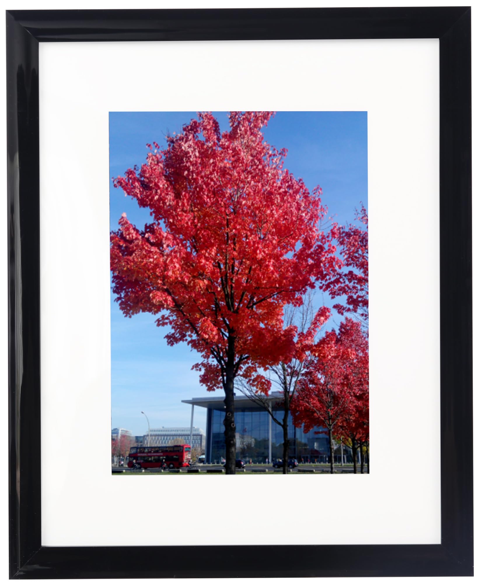 8x12 Picture Frame, Display Pictures 6x8 with Mat or 8x12 Without Mat for Certificate Poster and Photo Wall Hanging Photo Frame,
