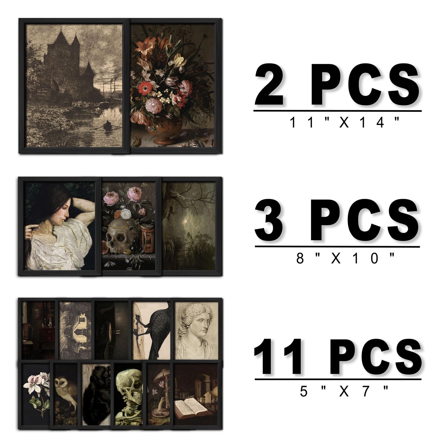 Anerza 16 Pcs Framed Dark Academia Room Decor, Gothic Home Decor, Moody Wall Art Prints For Bedroom, Gallery Wall Frame Set, Wit