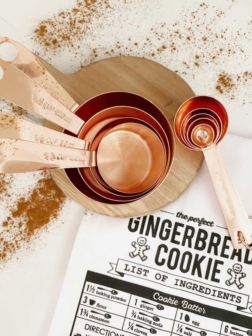 Steelware Central Copper Measuring Cups And Spoons Stainless Steel 9 Pieces With 2 Rings
