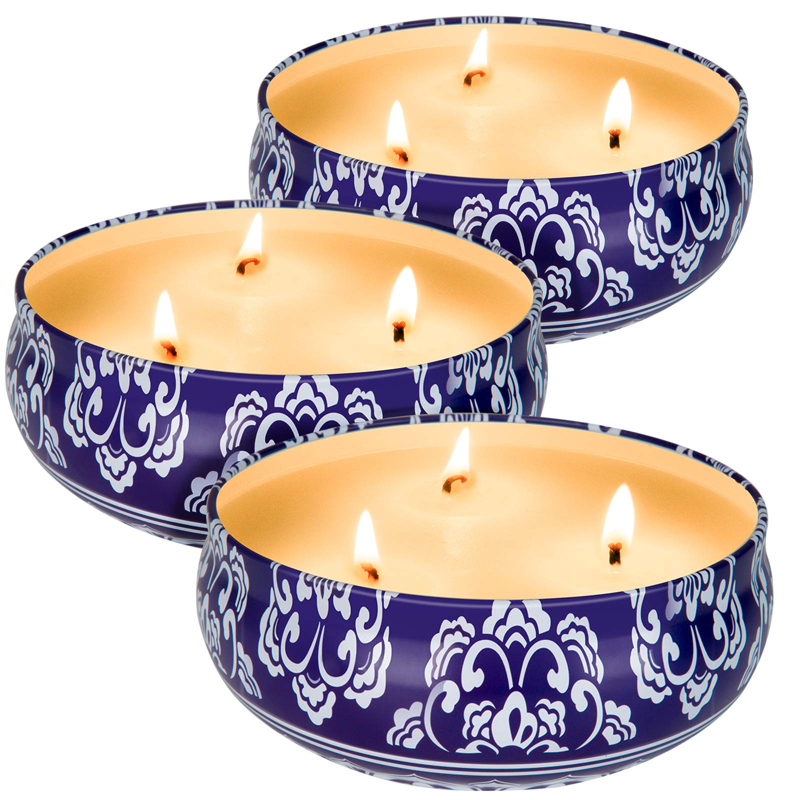 Citronella Candles Outdoor and Indoor 3 x 13.5 Oz,3 Wick Scented Candles Gift Set,Aromatherapy Candles Natural Soy Wax Candle in