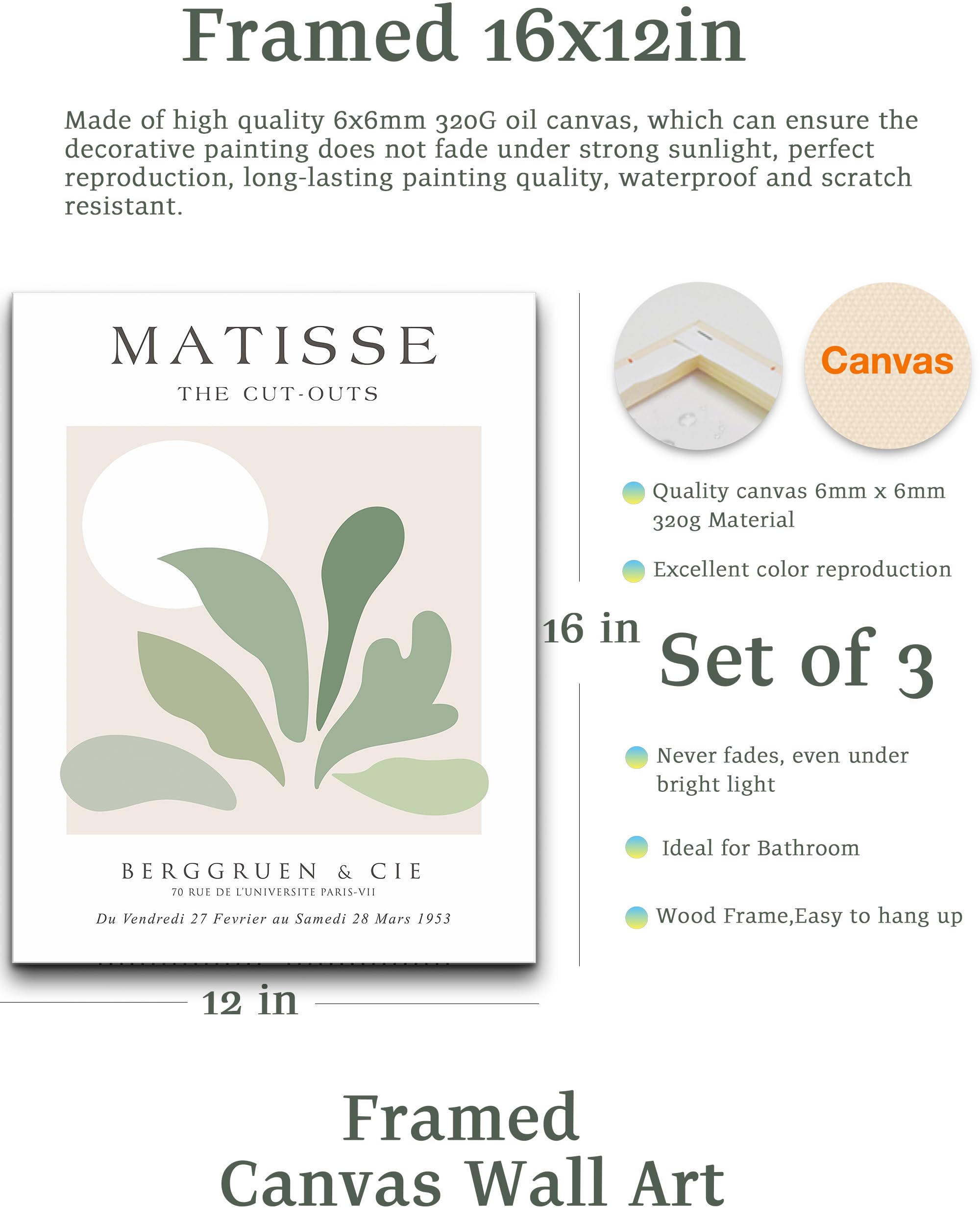 Sage Matisse Wall Art,Abstract Green Framed Wall Art Set Of 3,Minimalist Botanical Wall Art Decor,Truly Quality Canvas Prints Fo