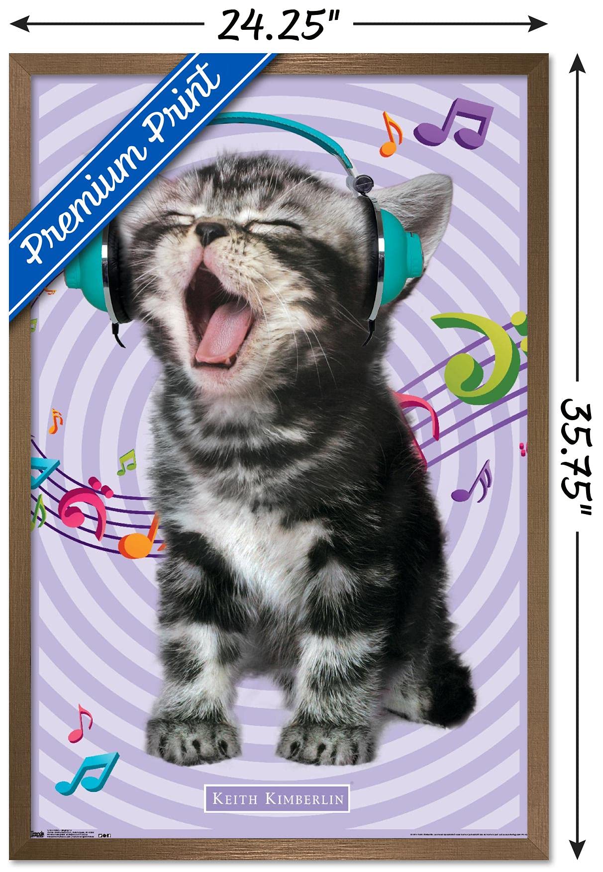 Trends International Keith Kimberlin - Kitten - Singing Wall Poster, 22.375'' X 34'', Bronze Framed Version