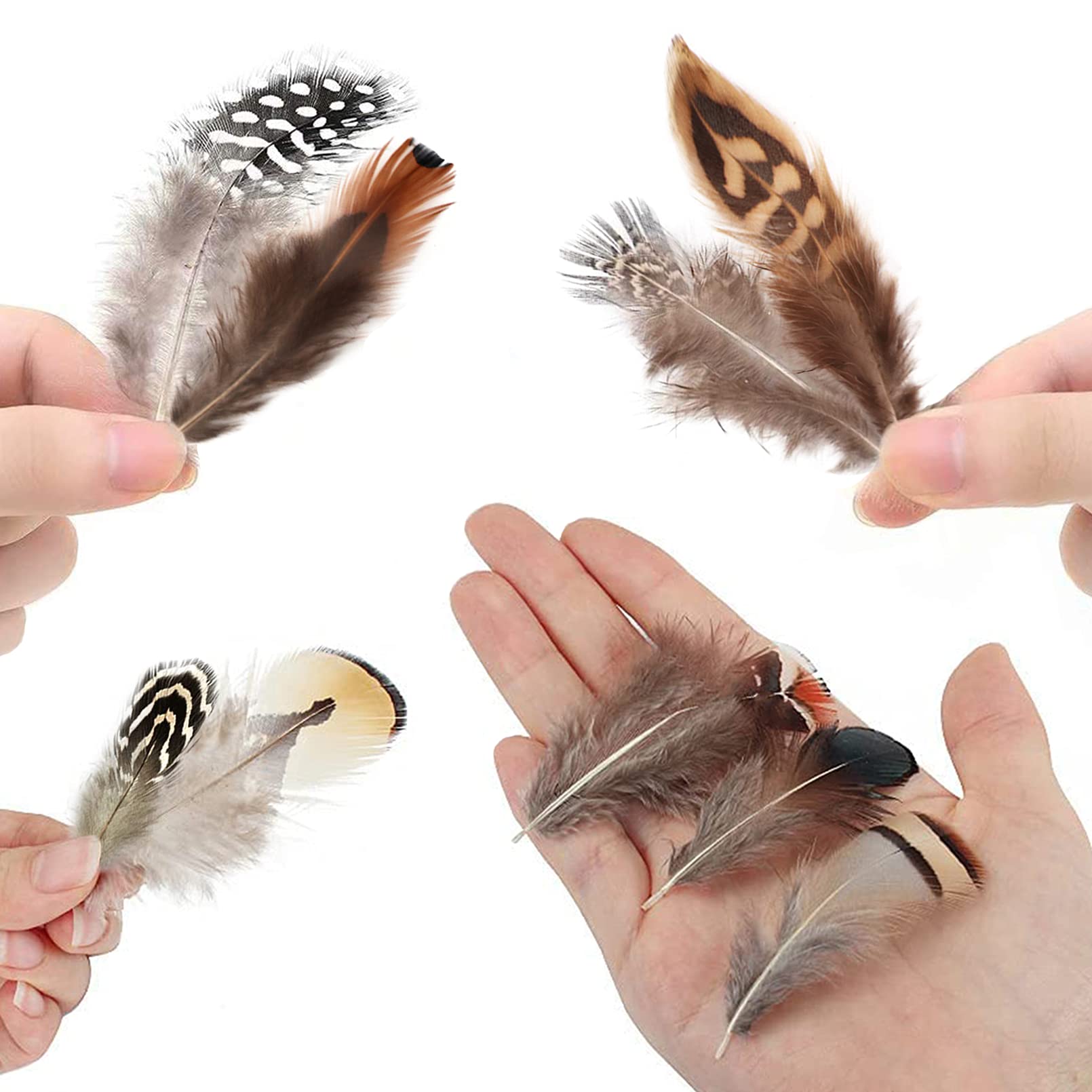 300Pcs 10 Style Natural Feathers Assorted Mixed Feathers For Dream Catcher Crafts Decoration A (10 Styles300 Pcs)