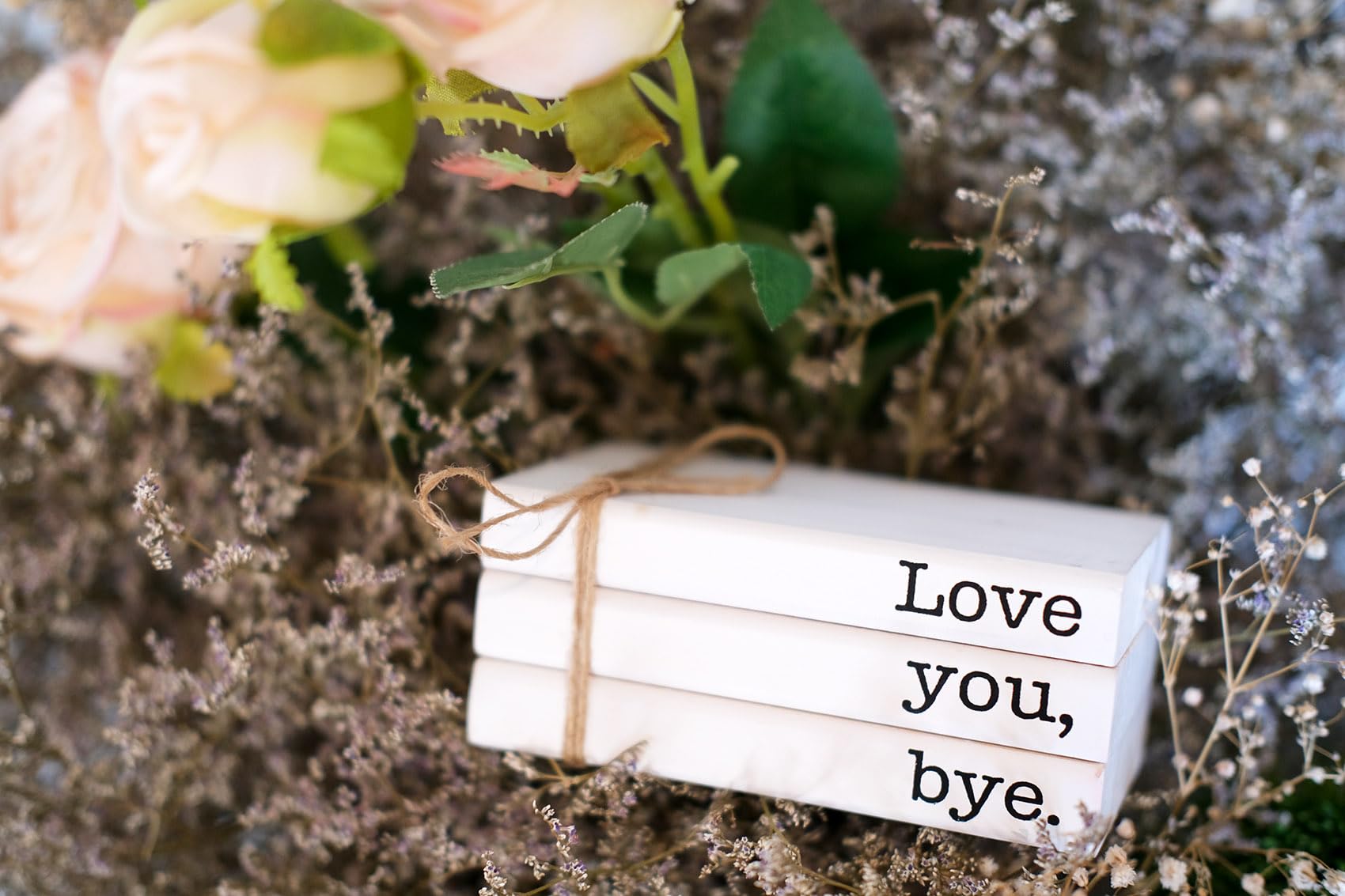 RUKEJUNE Cute Love You Bye Mini Wooden Faux Books, Express Love and Warm Family Sign for Office Front Door Bathroom Hallway Entr